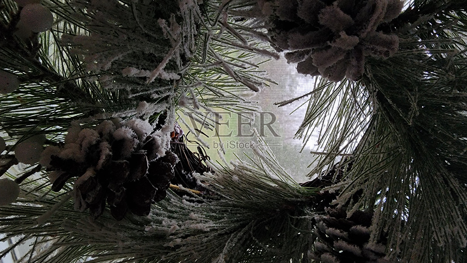 冬季如画景色照片摄影图片