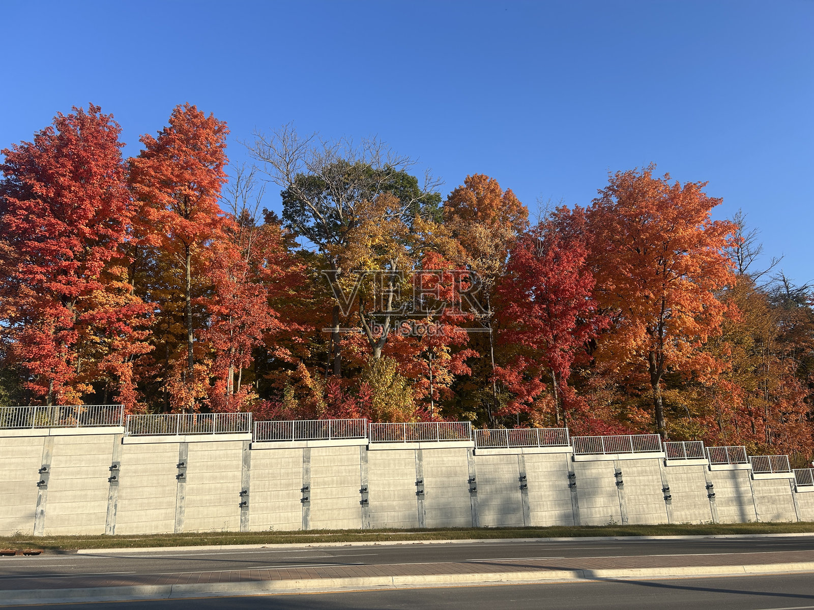 秋天的道路风景照片摄影图片