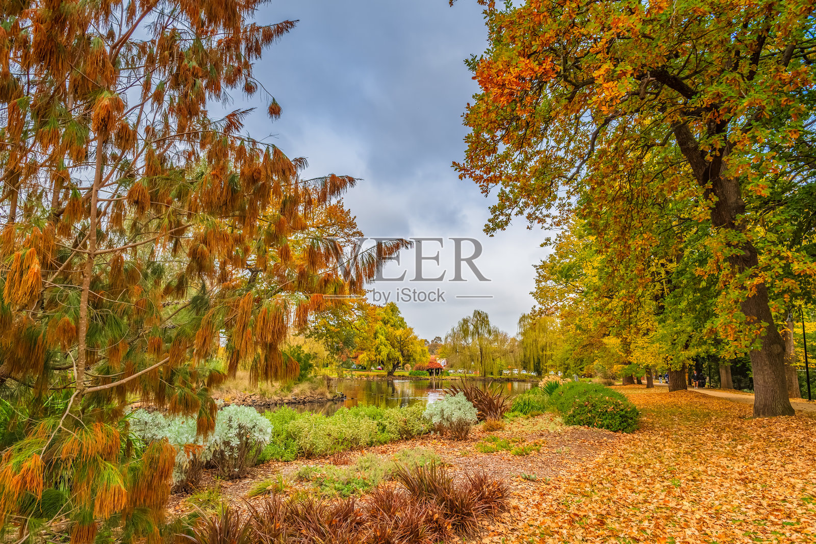卡斯尔梅因植物园的深秋景色照片摄影图片