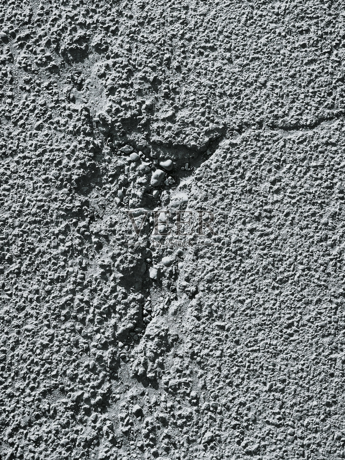 形式照片摄影图片