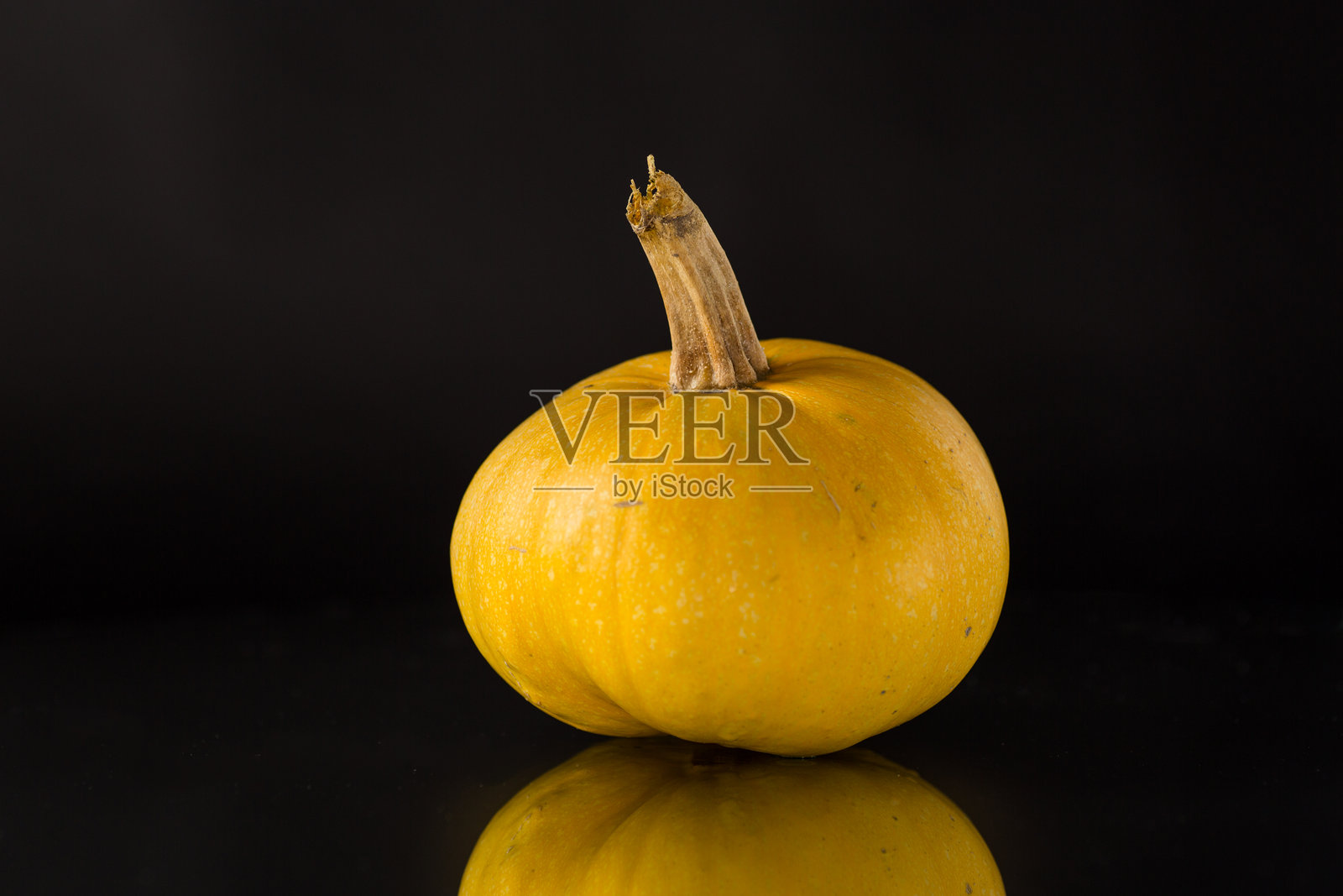 黑色背景上的圆形小南瓜照片摄影图片