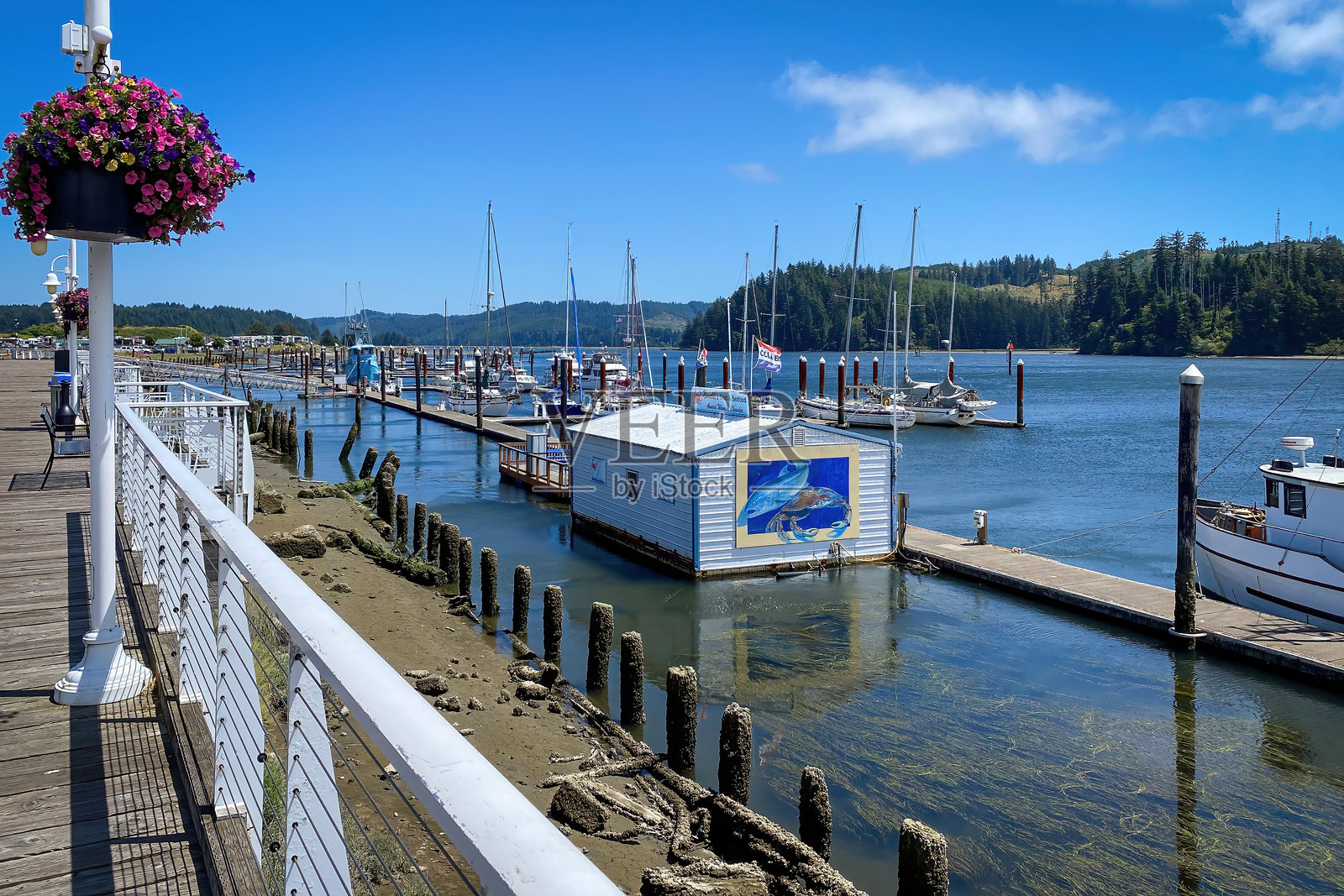 俄勒冈州佛罗伦萨的西乌斯劳河岸和码头照片摄影图片