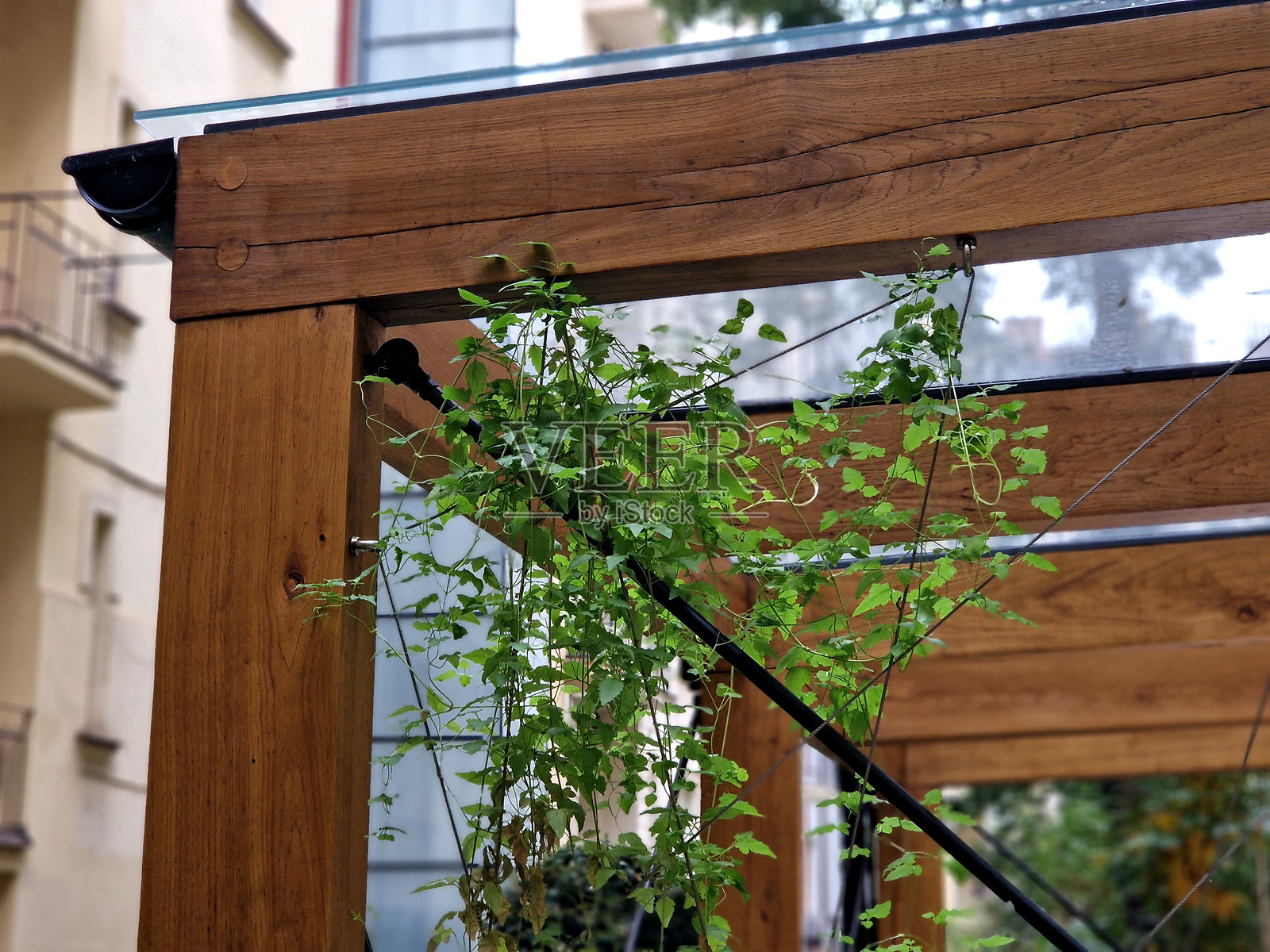 棕色胶合木材的凉亭结构照片摄影图片