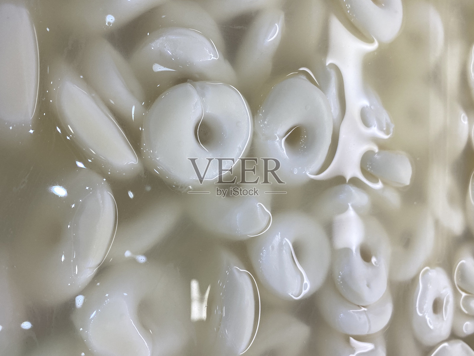 水中圆形白色奶酪放在冷盘柜上照片摄影图片