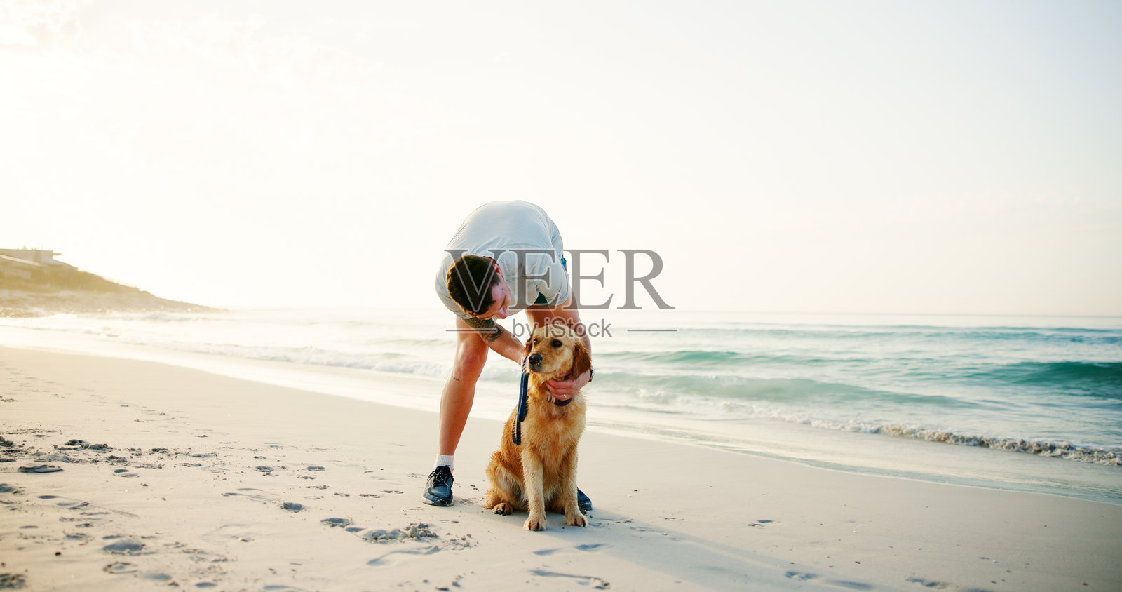 海滩上人与狗之间的亲密关系，展现忠诚、陪伴或假日冒险的玩耍场景。度假时，人与宠物在海边共同放松、享受新鲜空气，营造亲密的氛围。照片摄影图片