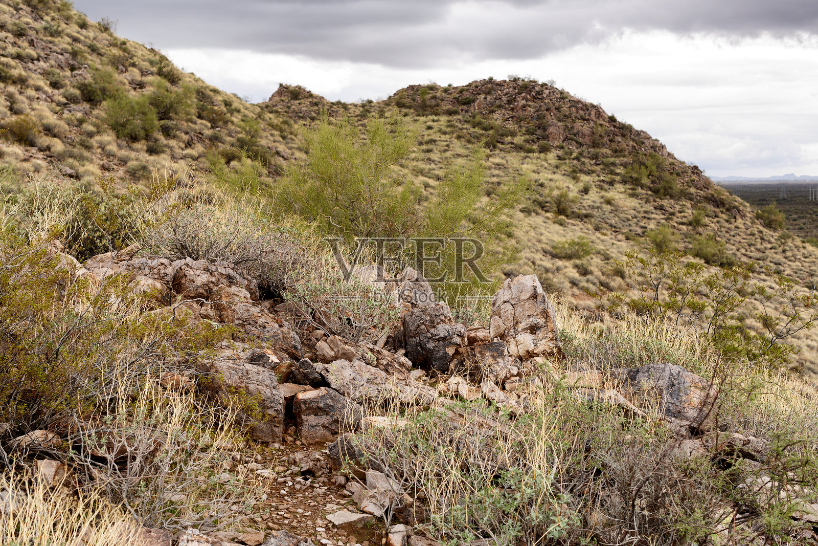 从傻山公园步道上的风景视角照片摄影图片