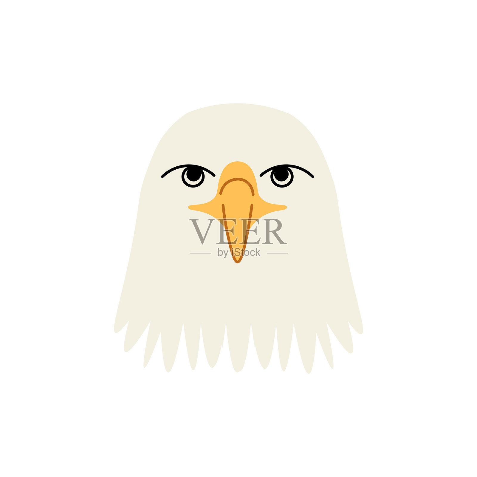 老鹰的特写肖像。老鹰看着读者。正面是一只鹰的肖像插画图片素材