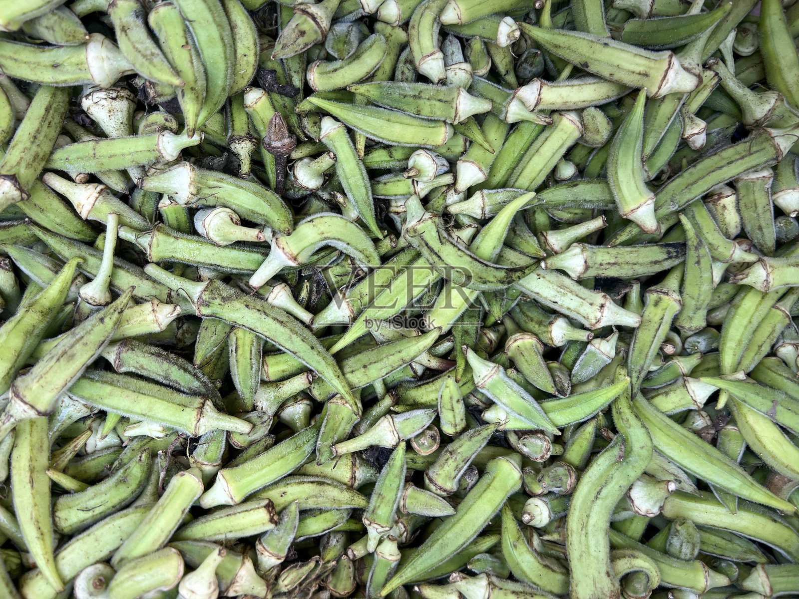 新鲜生秋葵的蔬菜背景照片摄影图片