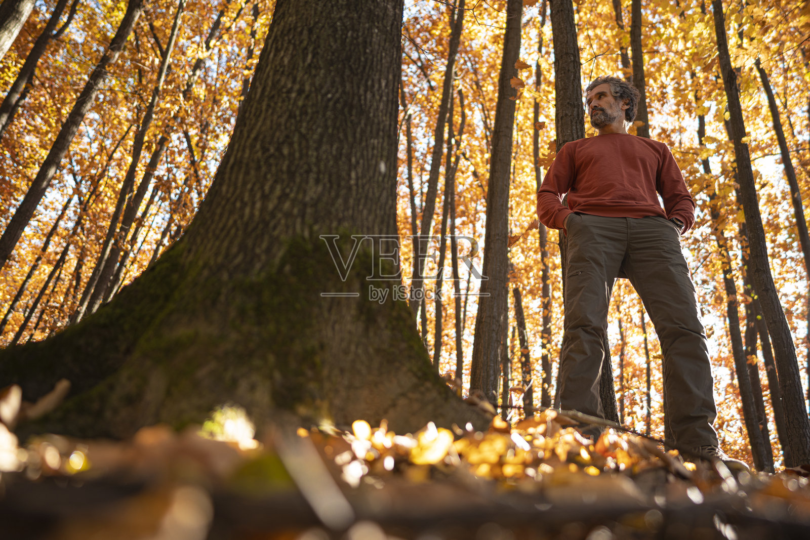 热带雨林河流中的探险者，皮划艇冒险之旅，鸟瞰图照片摄影图片