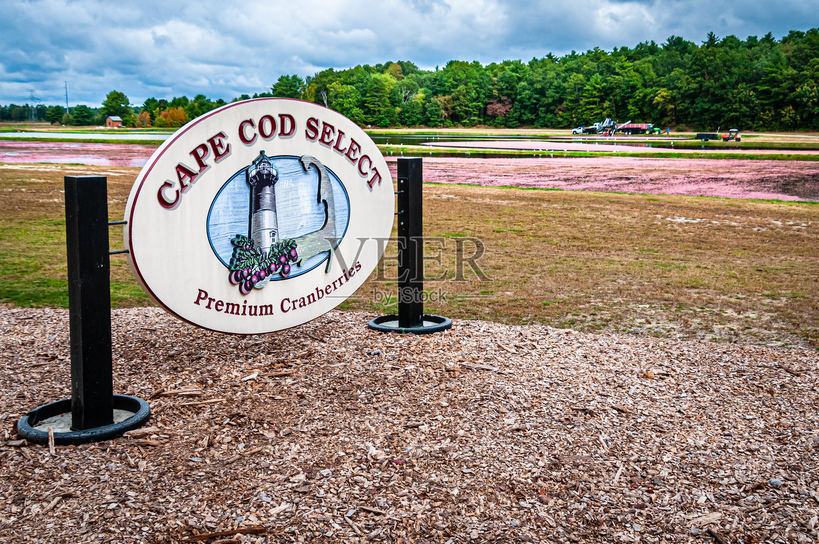 开普科德蔓越莓标志照片摄影图片