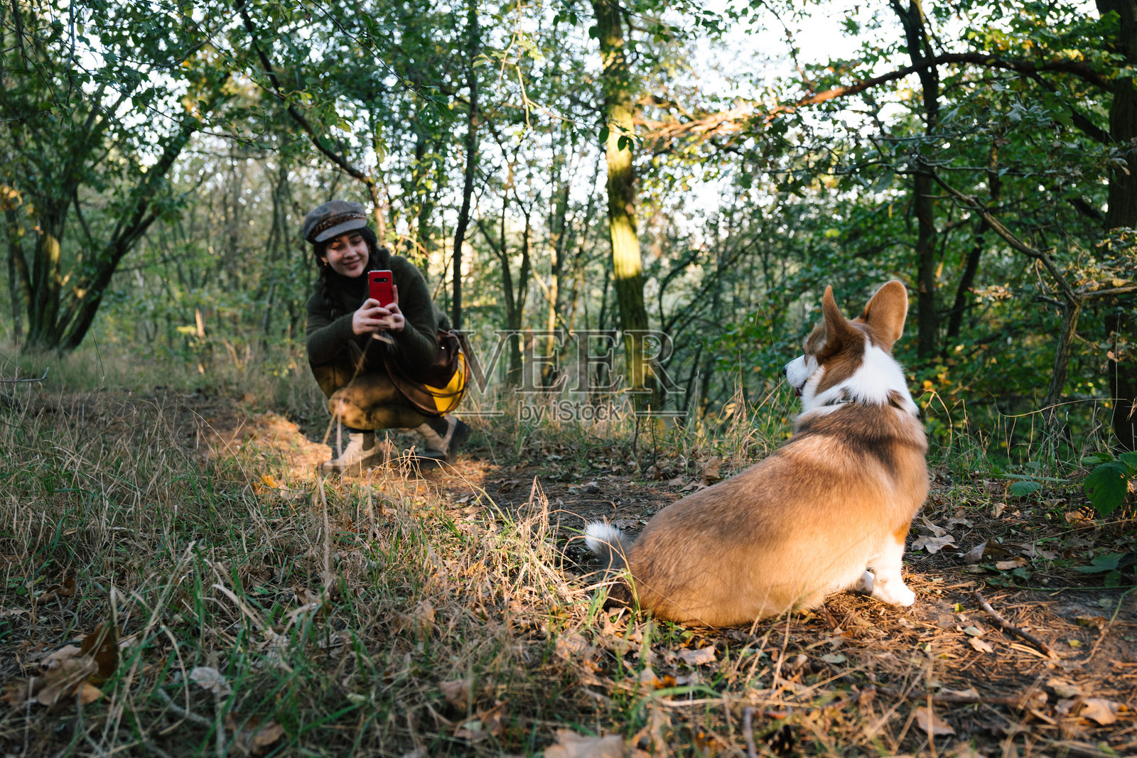 年轻女性在金色秋季森林中用手机拍摄她的狗。照片摄影图片