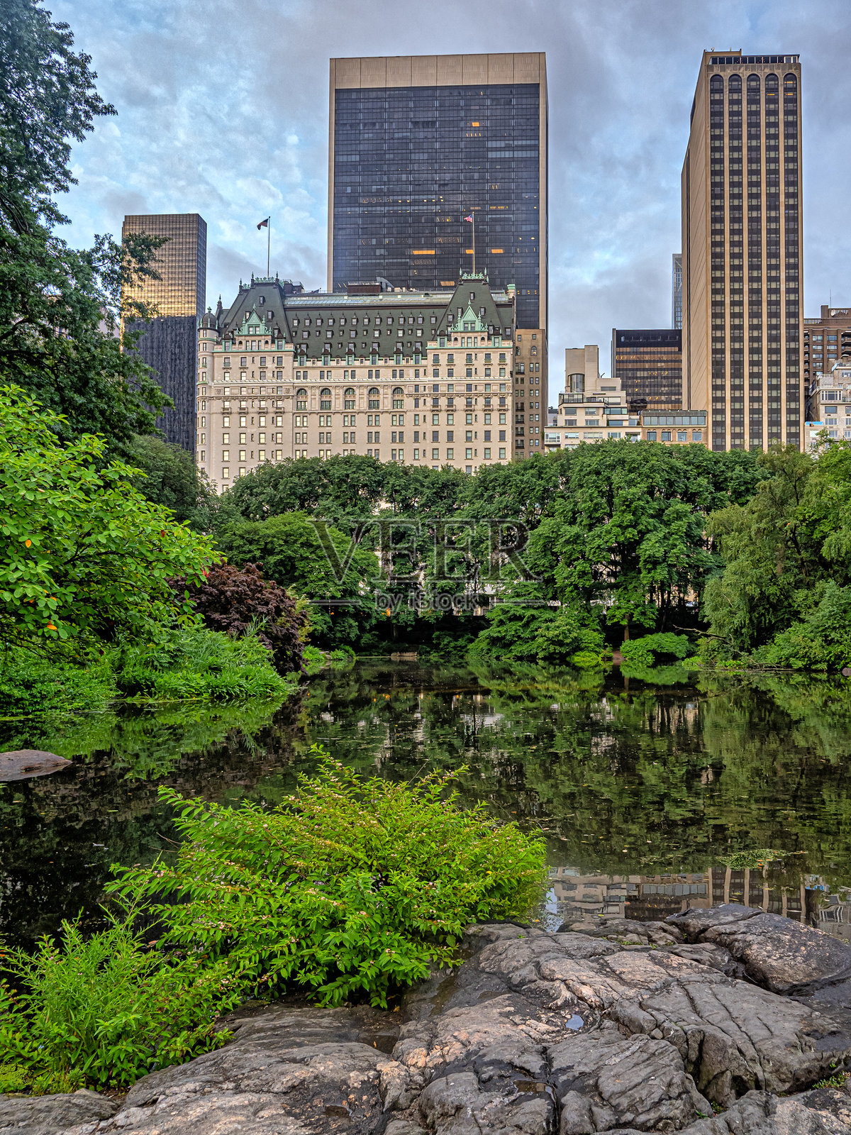 中央公园的夏天照片摄影图片