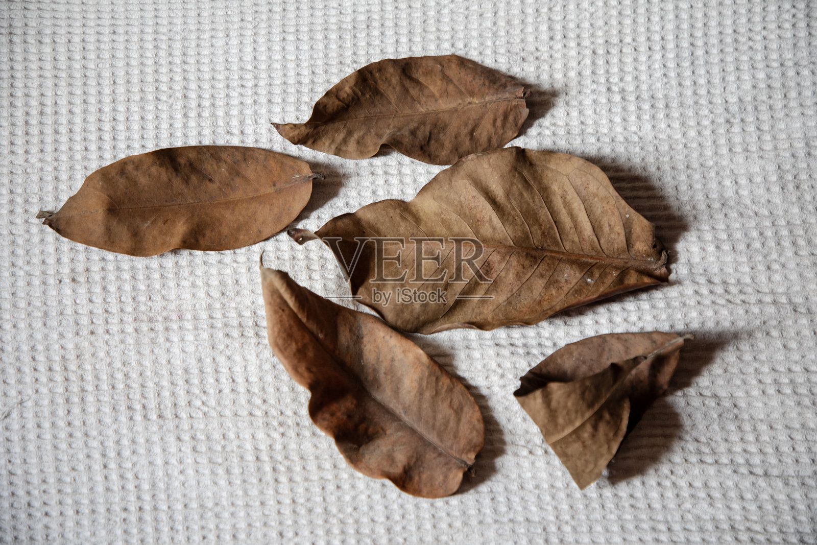 白色编织麻布背景上的棕色干枯叶子，俯视图照片摄影图片
