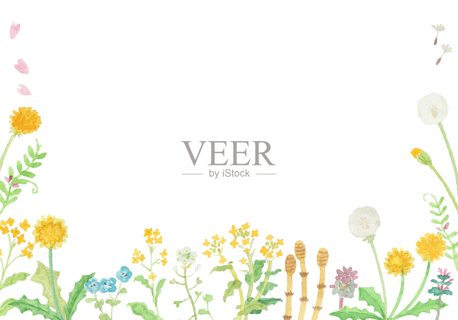 水彩春季野花插图插画图片素材