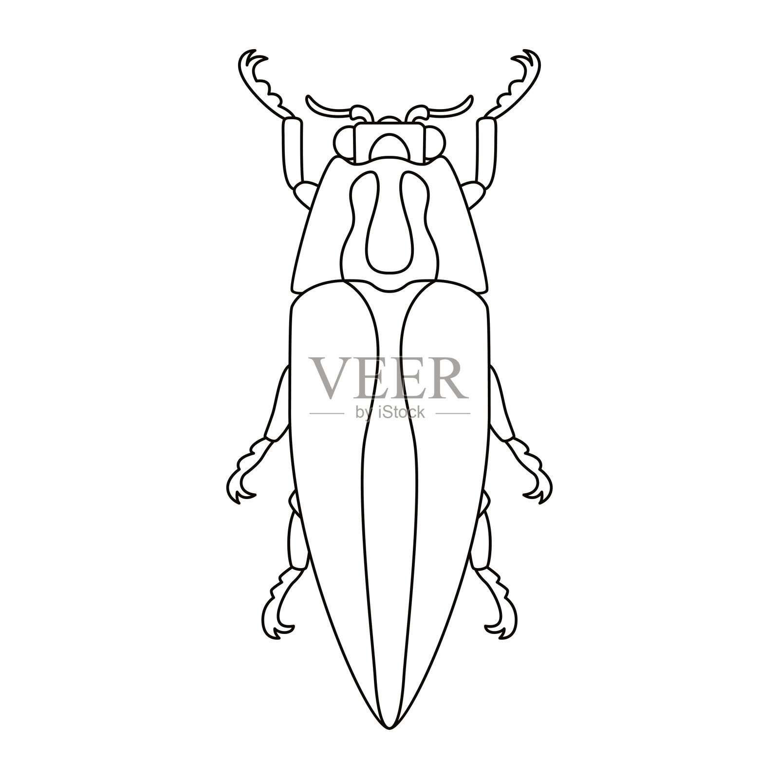 矢量甲虫虫子卡通插图，孤立展示插画图片素材