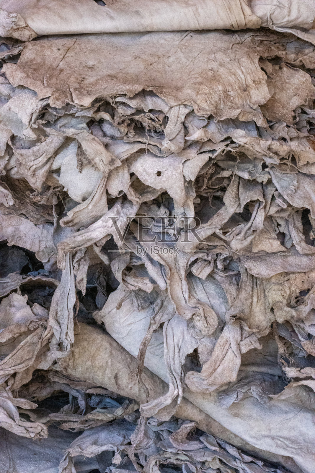 摩洛哥马拉喀什典型皮革鞣制厂中的干皮革照片摄影图片