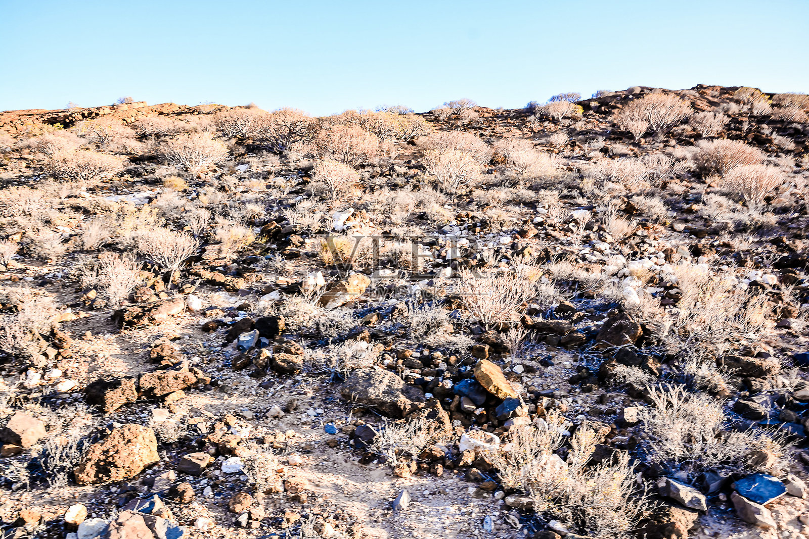 蒙塔纳阿马里拉特内里费的海岸景观照片摄影图片