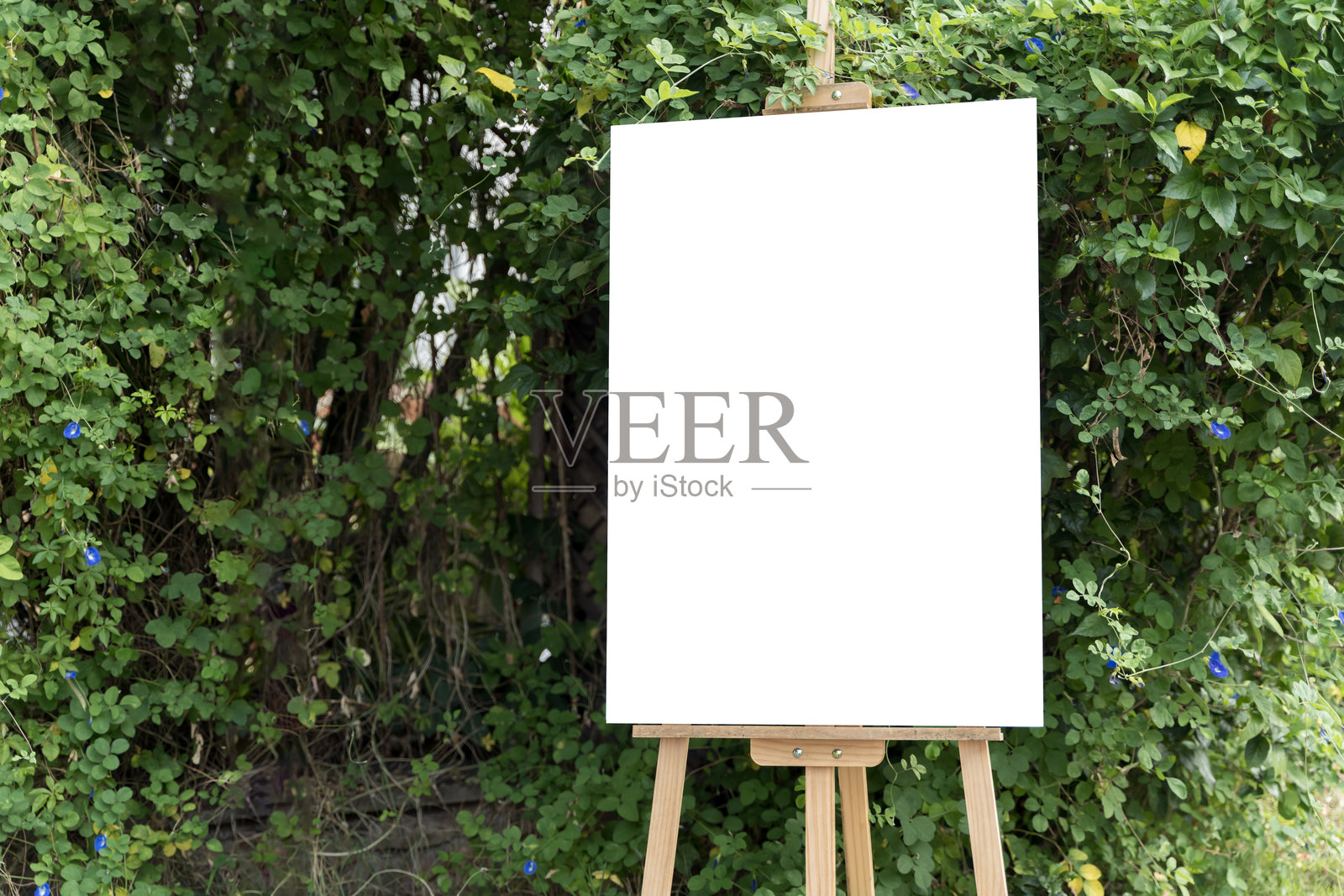 一块白色画布支撑在木制画架上，背景是一片郁郁葱葱的森林。画布是空的。照片摄影图片