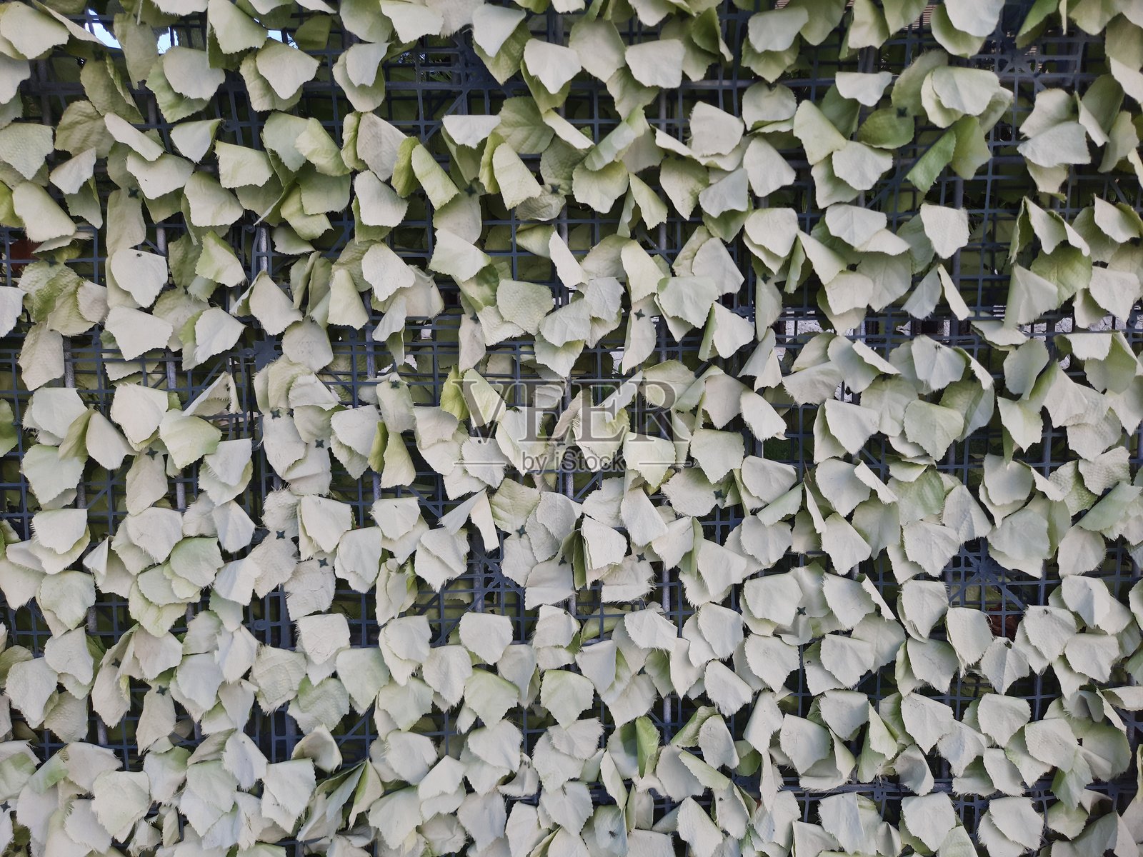 假叶子围栏照片摄影图片