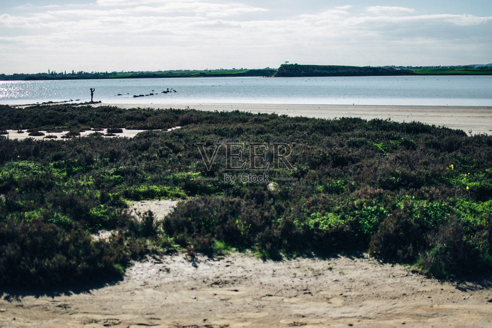 盐湖的景观，火烈鸟栖息地，塞浦路斯拉纳卡照片摄影图片