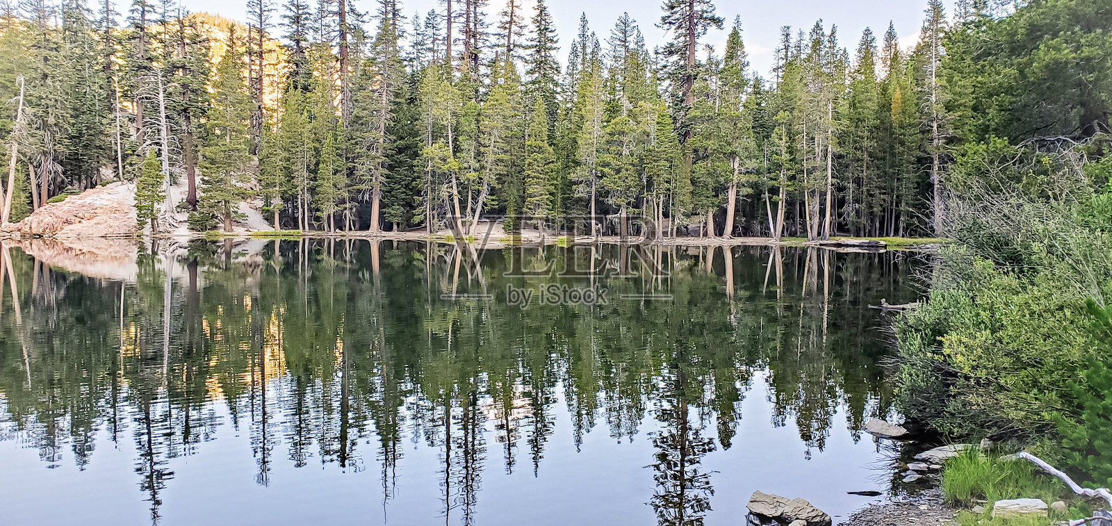 加利福尼亚猛犸湖移民荒野鸟类观察小径的照片照片摄影图片