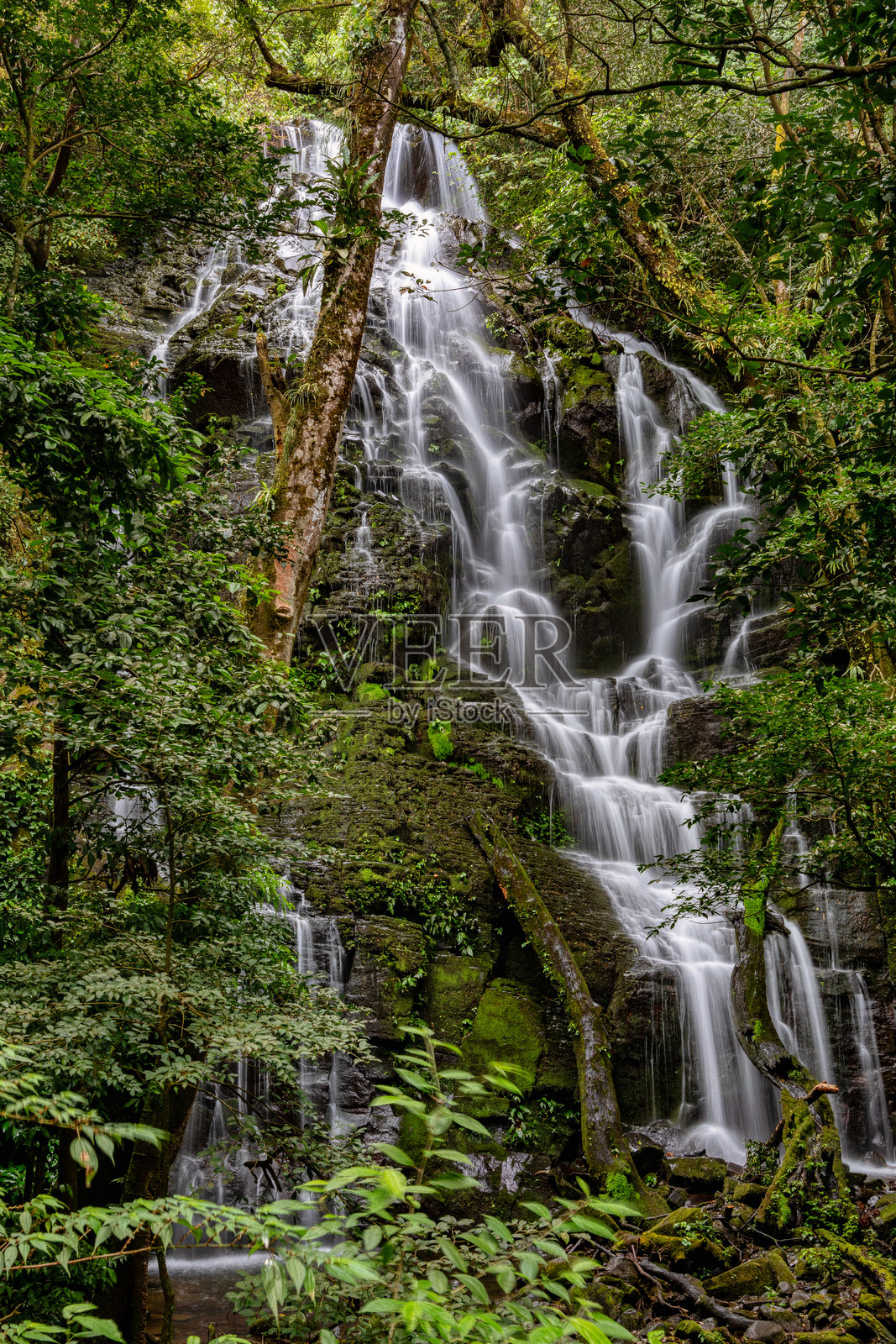 深林中的瀑布，哥斯达黎加维耶哈角国家公园的风景照片摄影图片