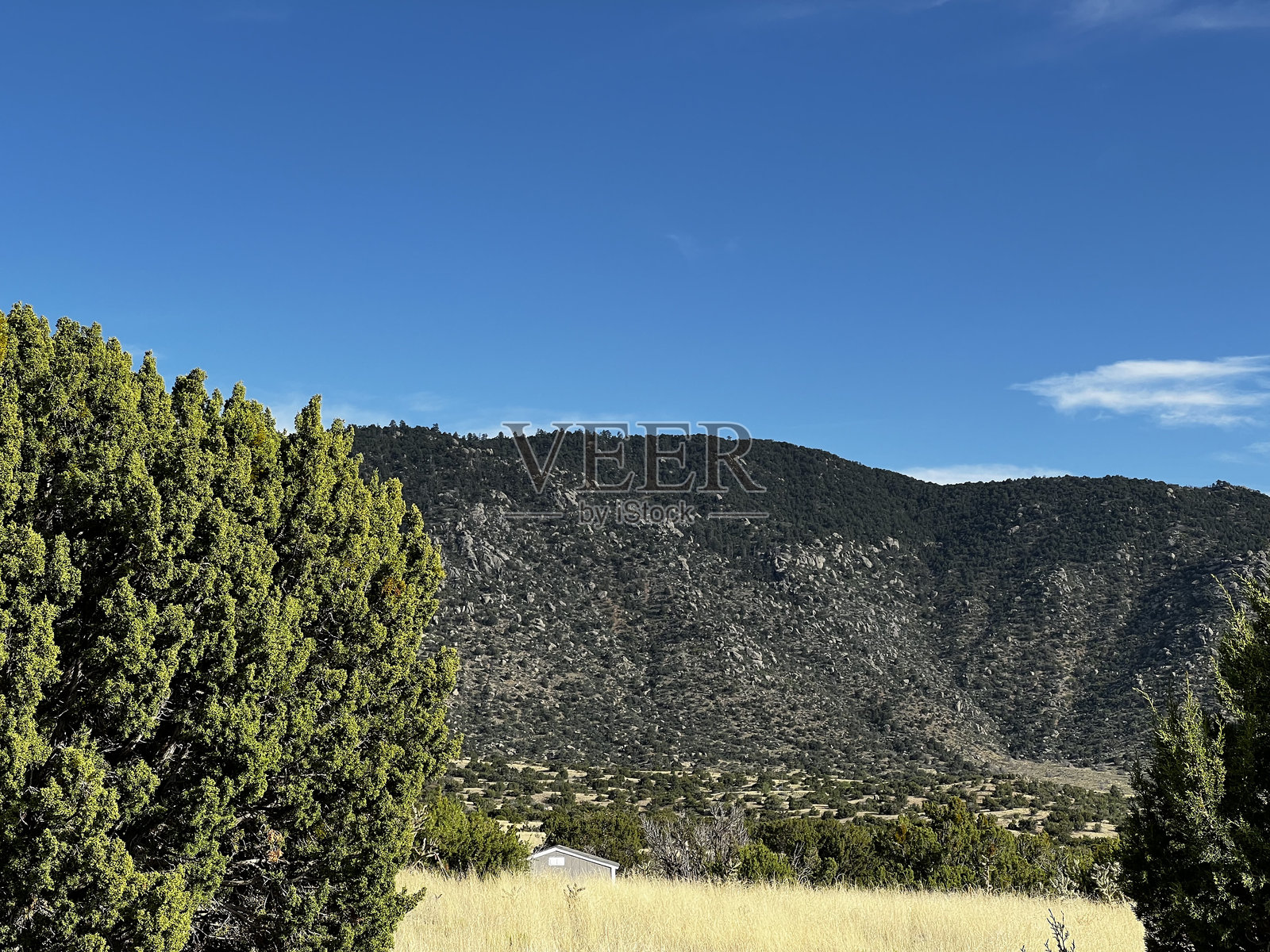 风景如画的山景与绿色灌木丛照片摄影图片