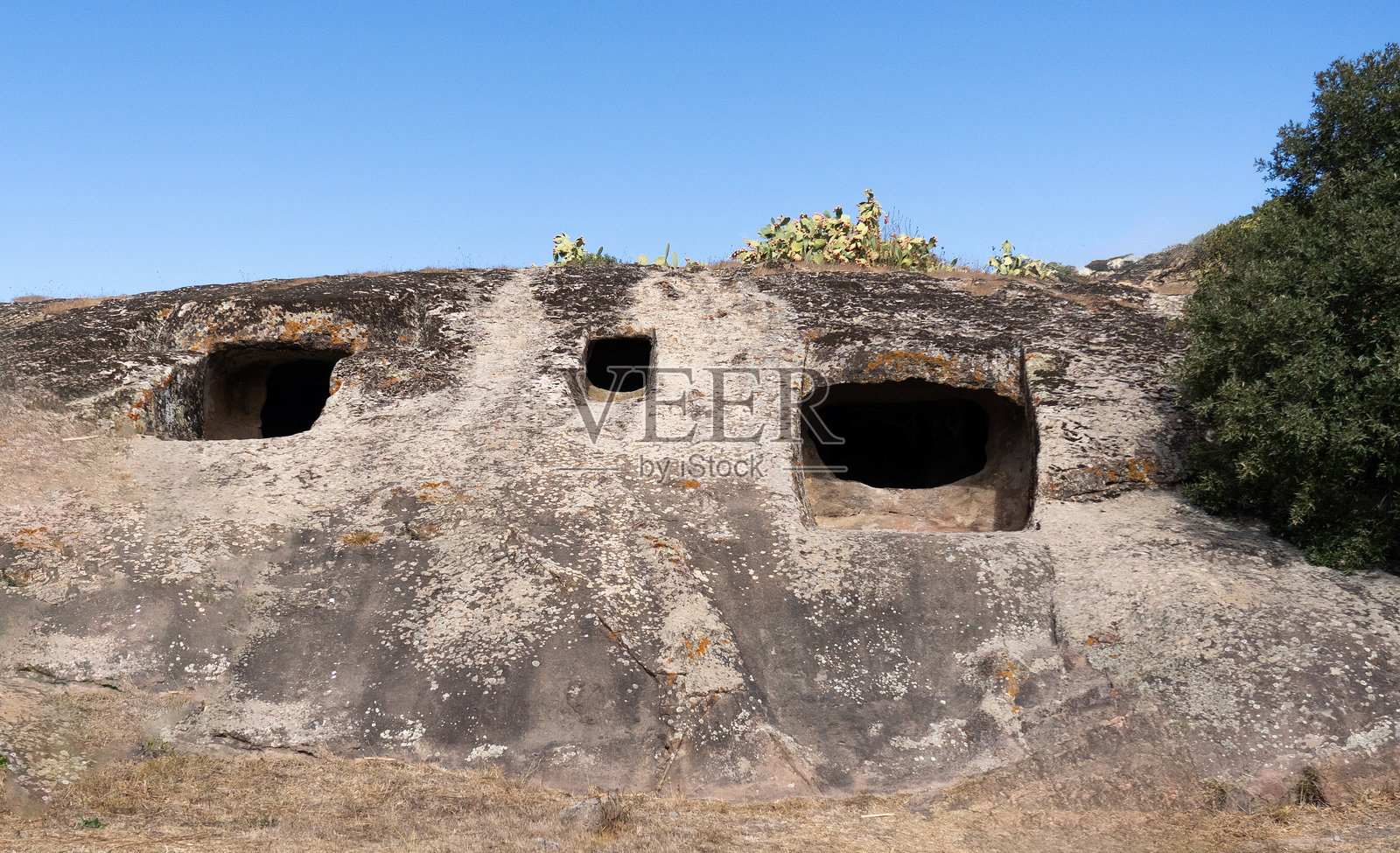 展示杰纳·萨利克斯的亡灵之城及其女神之屋照片摄影图片