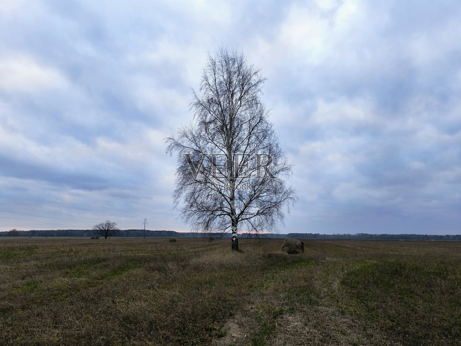 美丽的乡村田野风光照片摄影图片