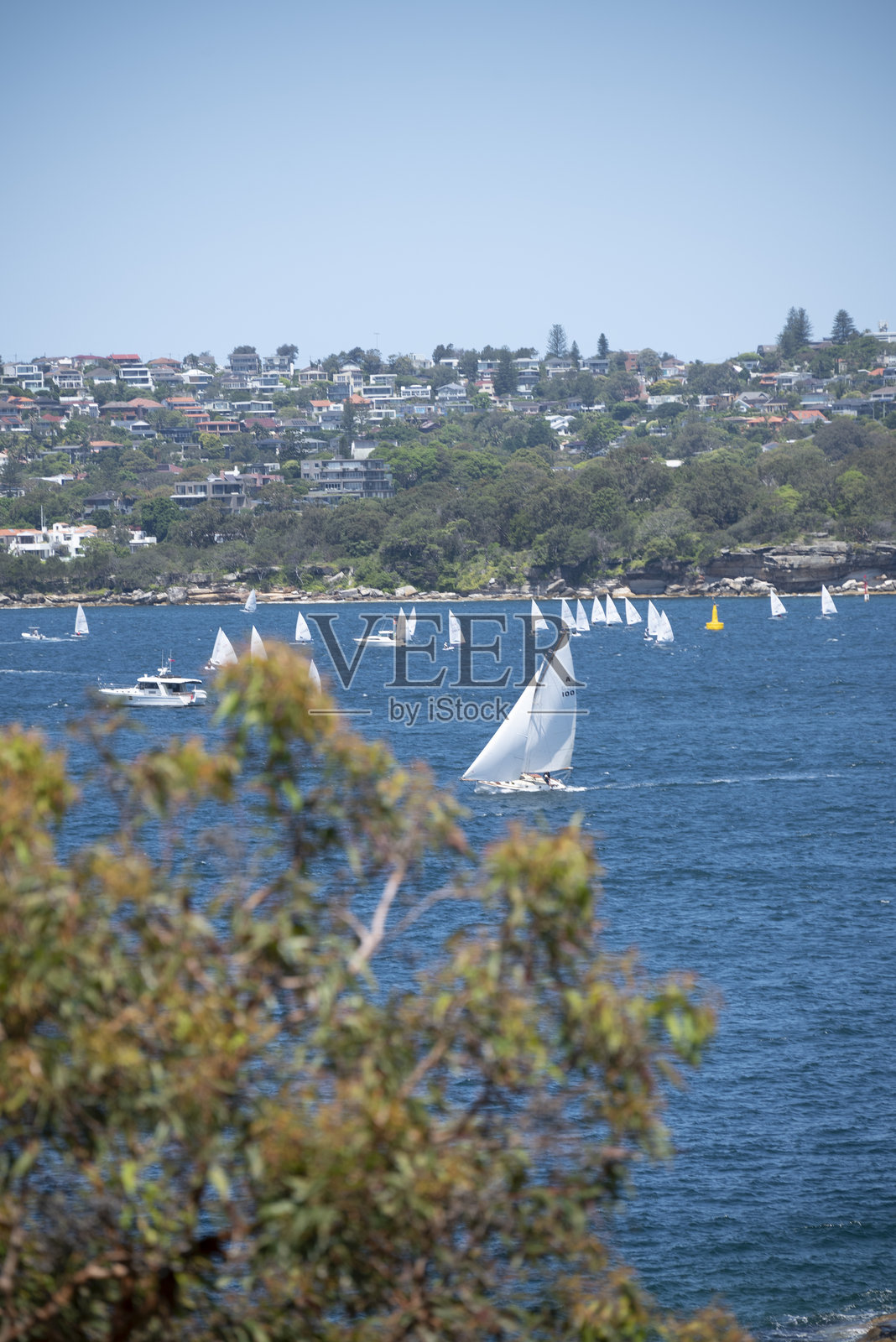 悉尼港航行照片摄影图片