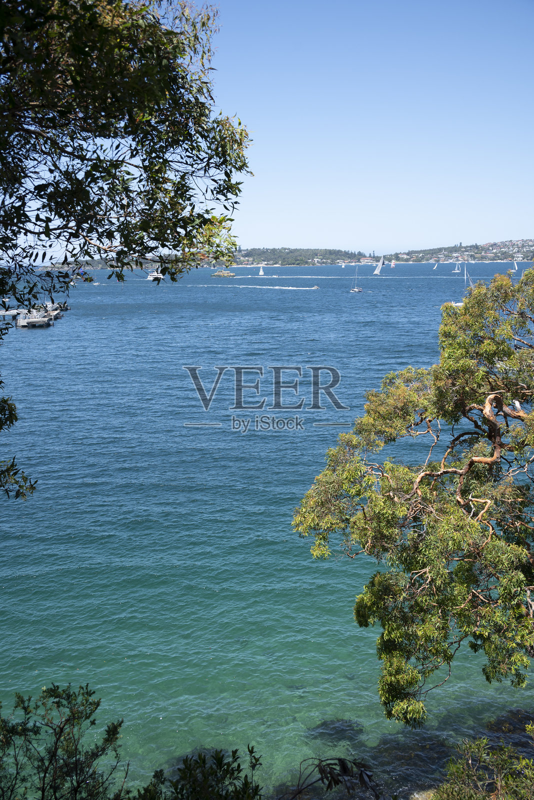 悉尼港航行照片摄影图片