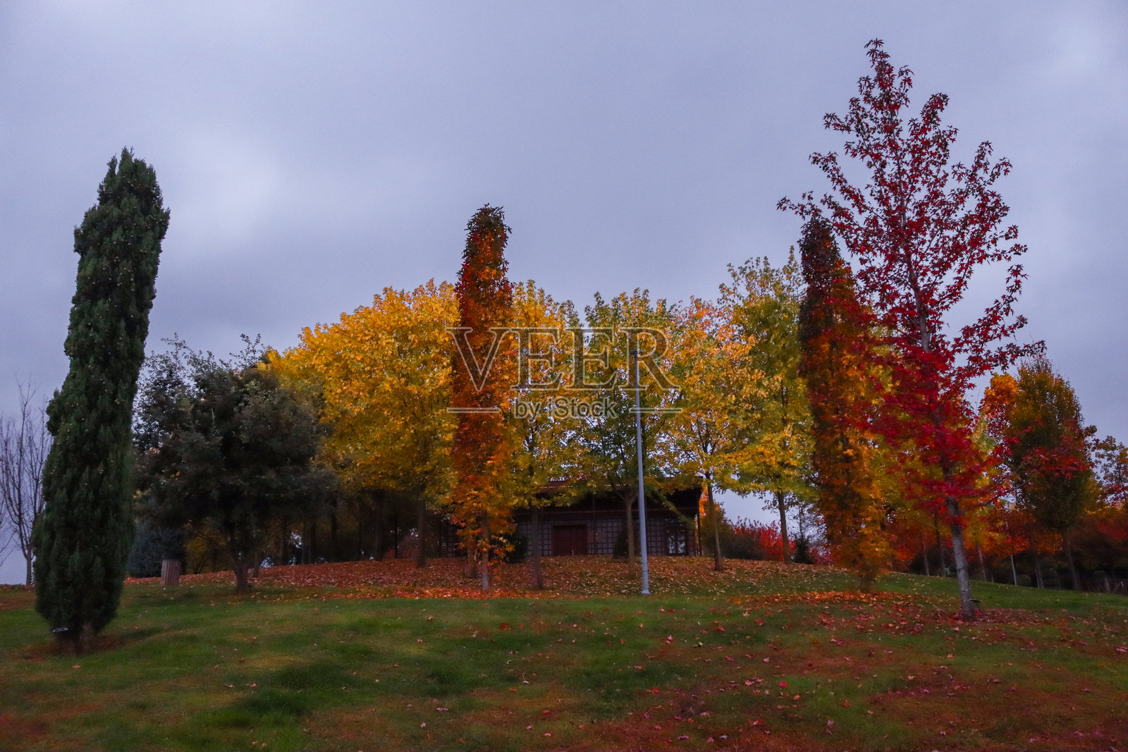 特拉布宗的秋天照片摄影图片
