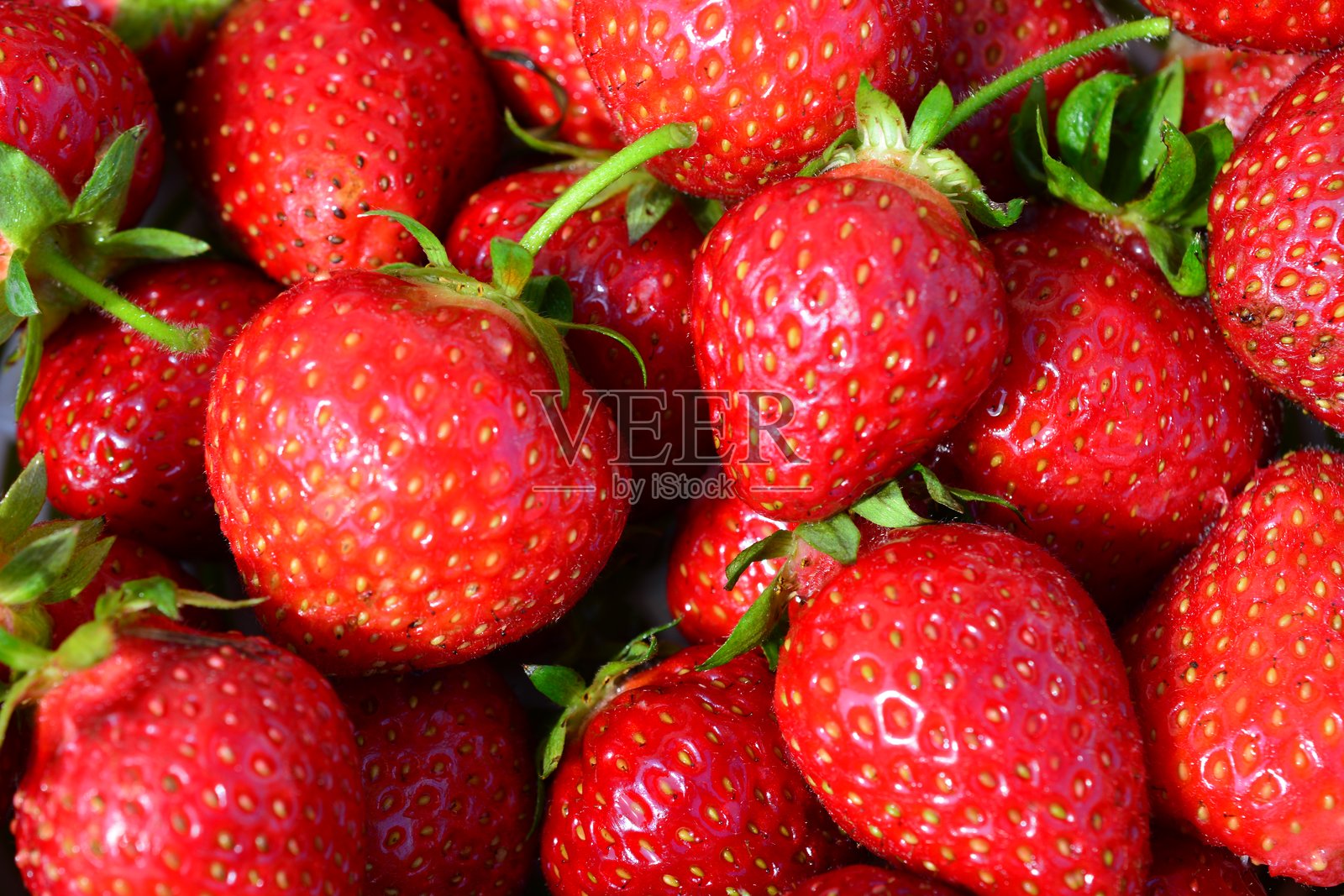 孤立的草莓背景特写照片摄影图片