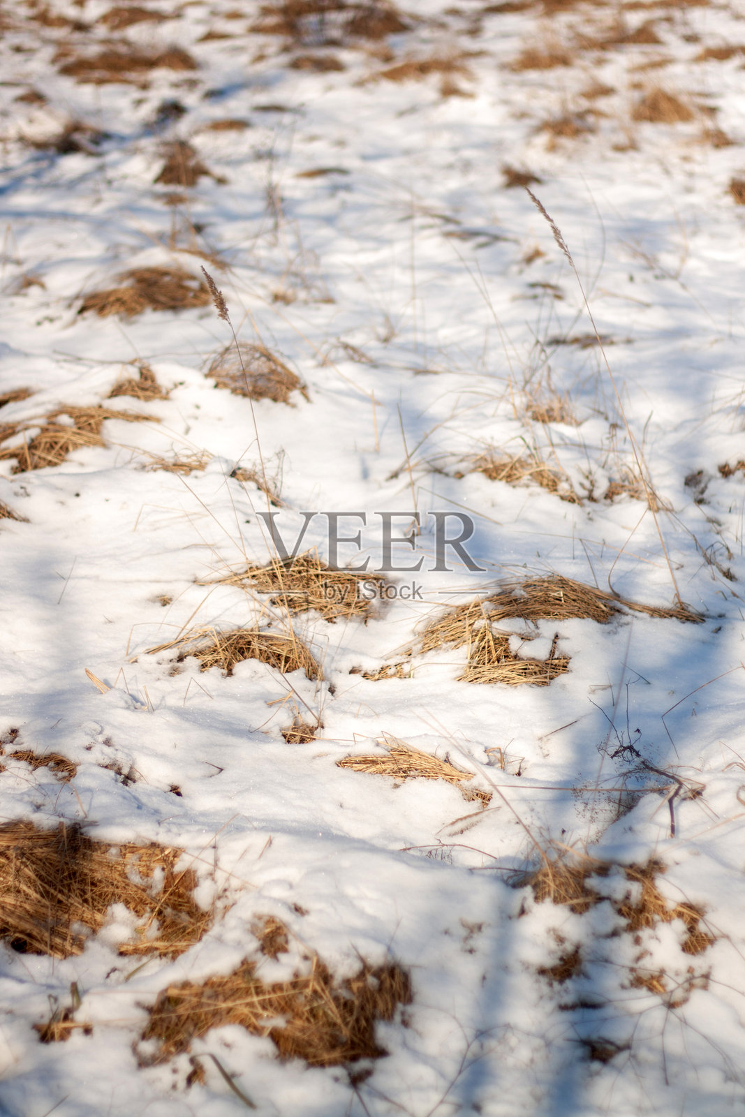 一团雪在草地上，旁边还有一团雪。照片摄影图片