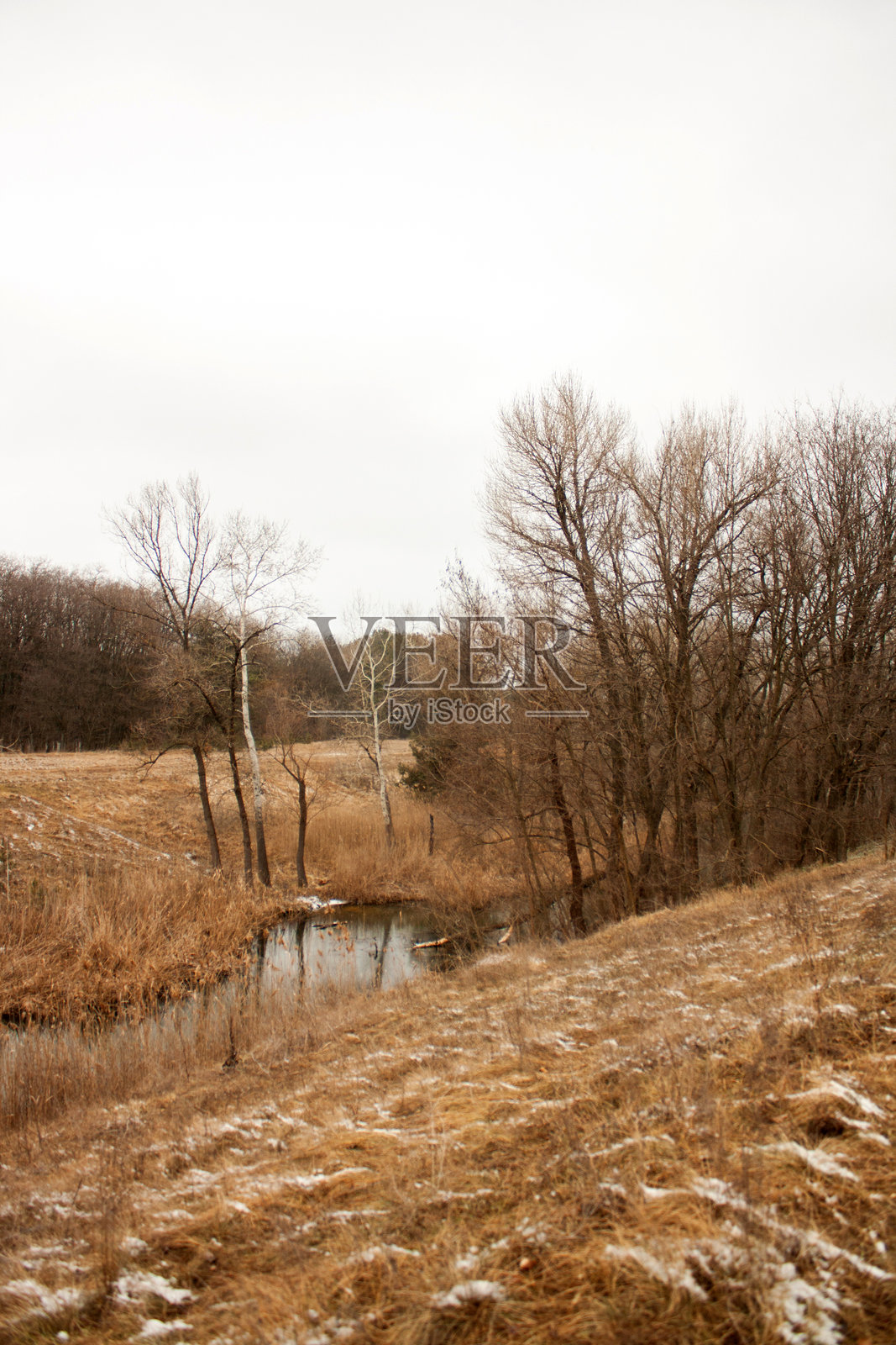 冬季雪景，树木与白雪相映成趣照片摄影图片