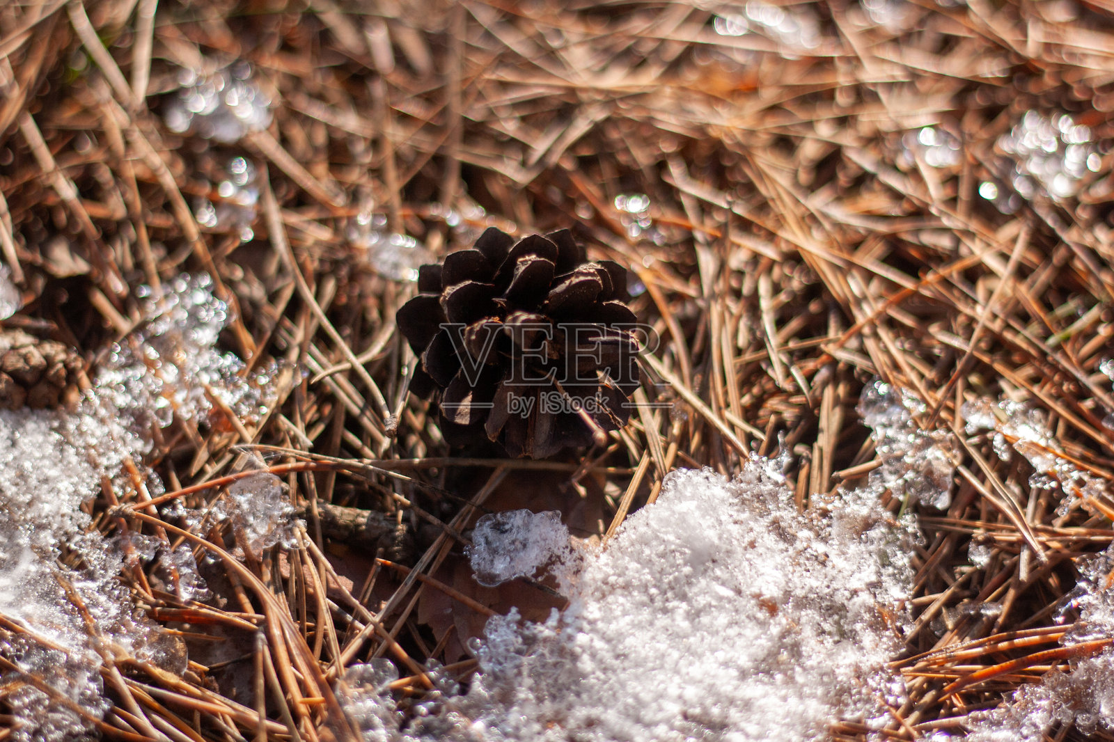 一片枯叶躺在雪地里照片摄影图片