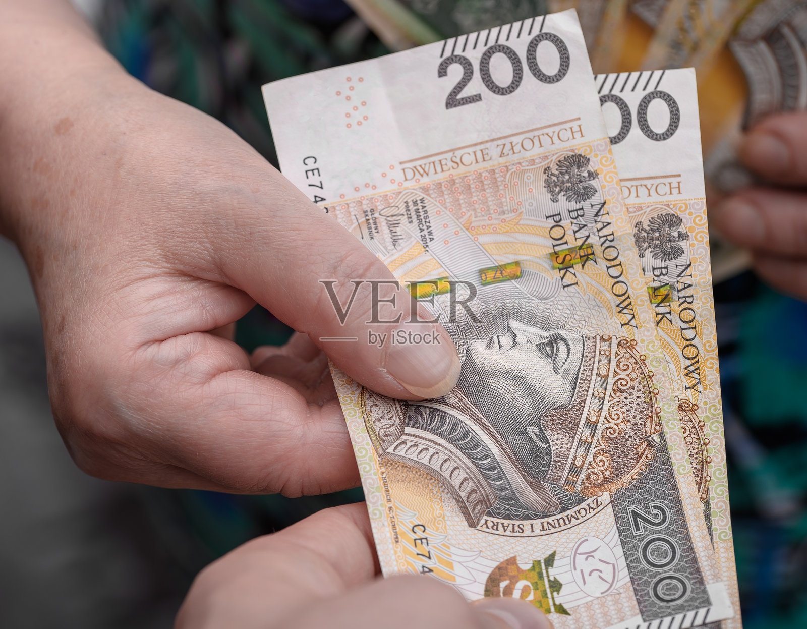 退休人员用现金支付，手中握着波兰兹罗提的特写镜头照片摄影图片