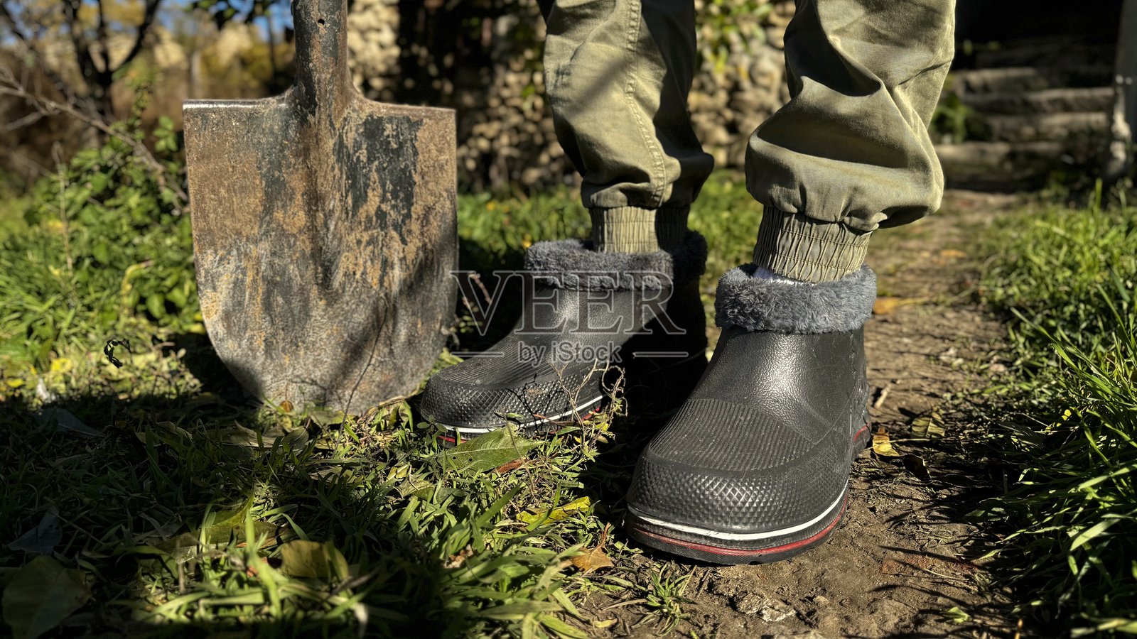 穿着防水靴的园丁在阳光明媚的日子里站在郁郁葱葱的花园里，旁边有一把铲子。照片摄影图片