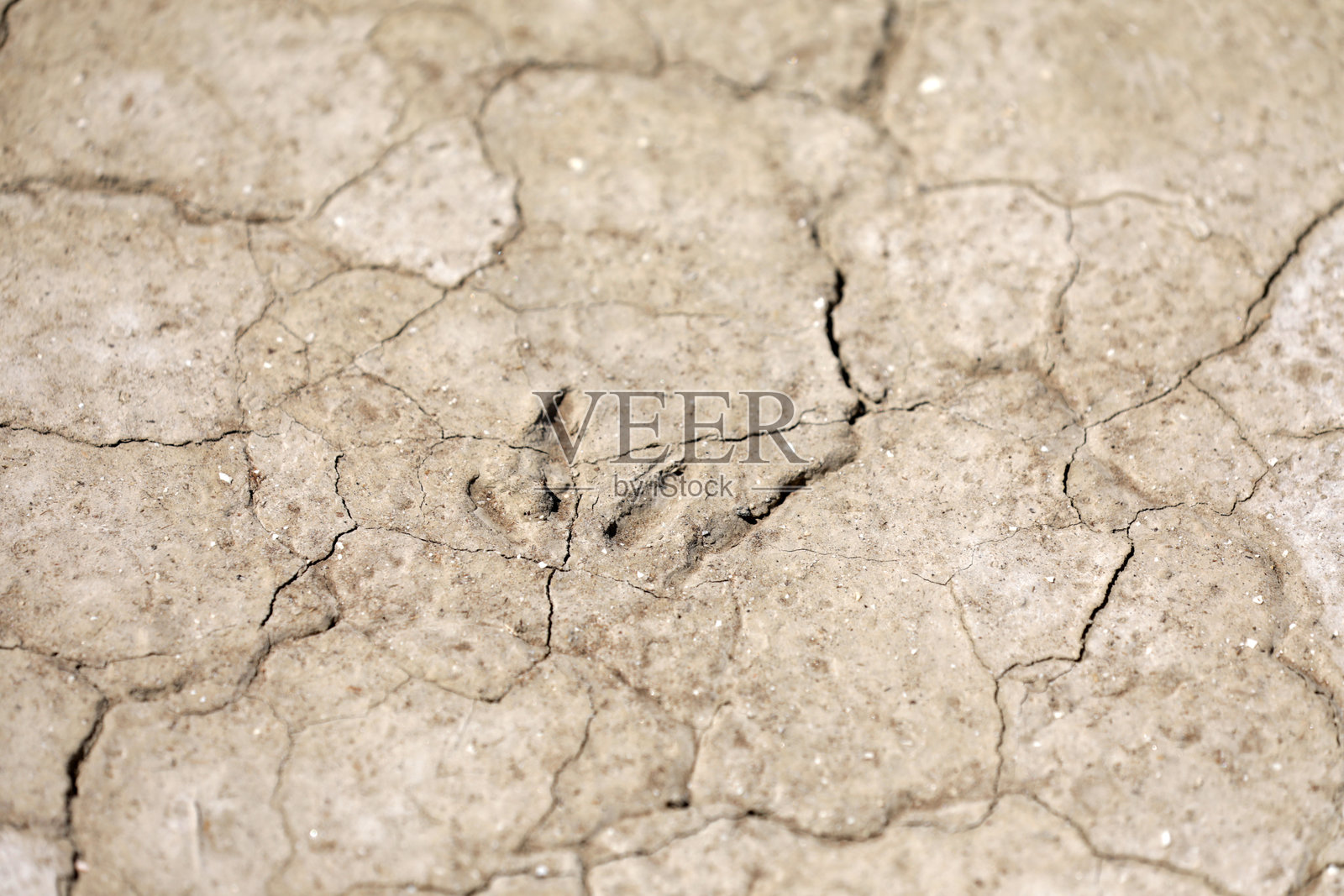 干燥的土壤干旱照片摄影图片