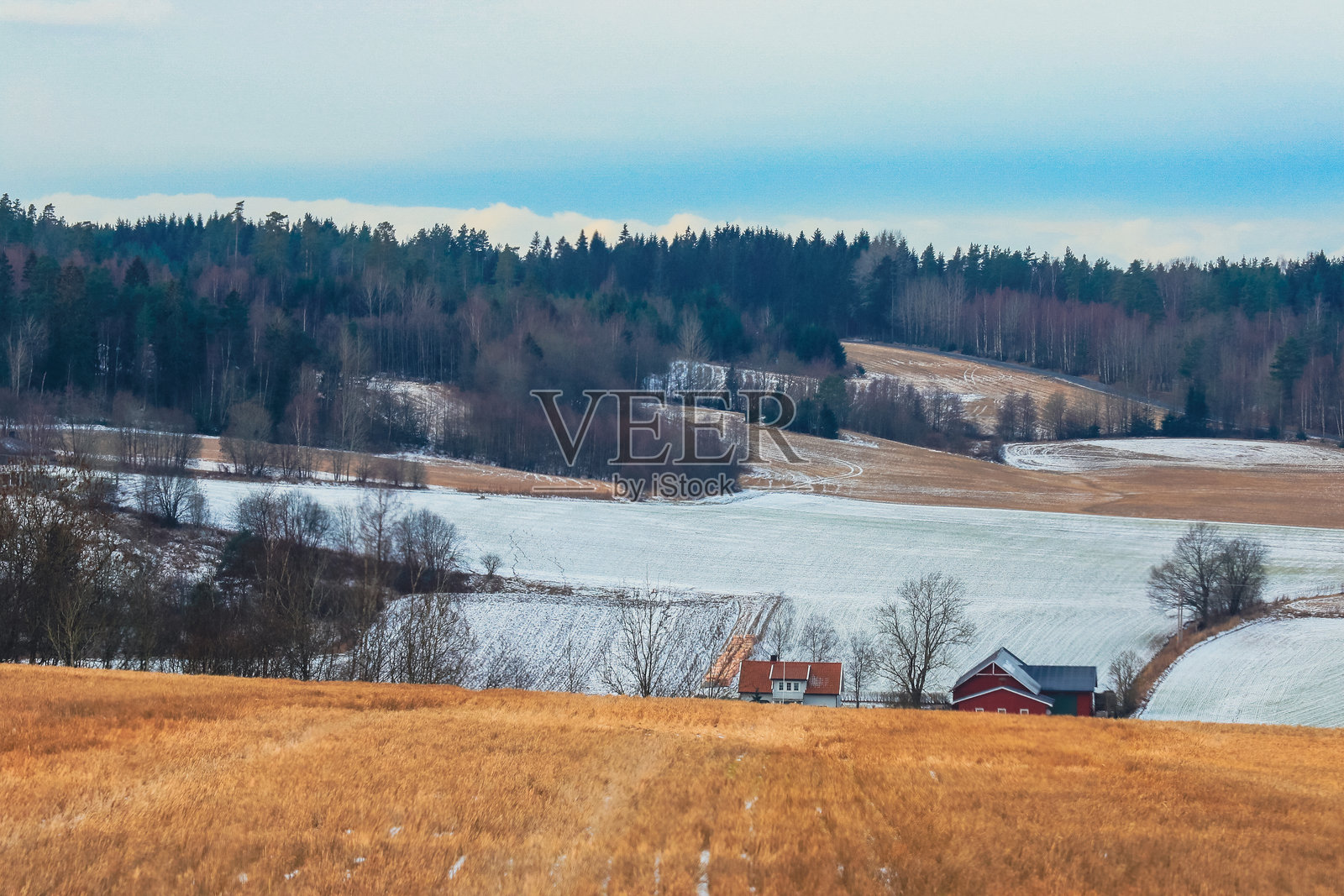 被雪覆盖的挪威田野和宁静的森林展现了冬季自然的宁静之美照片摄影图片