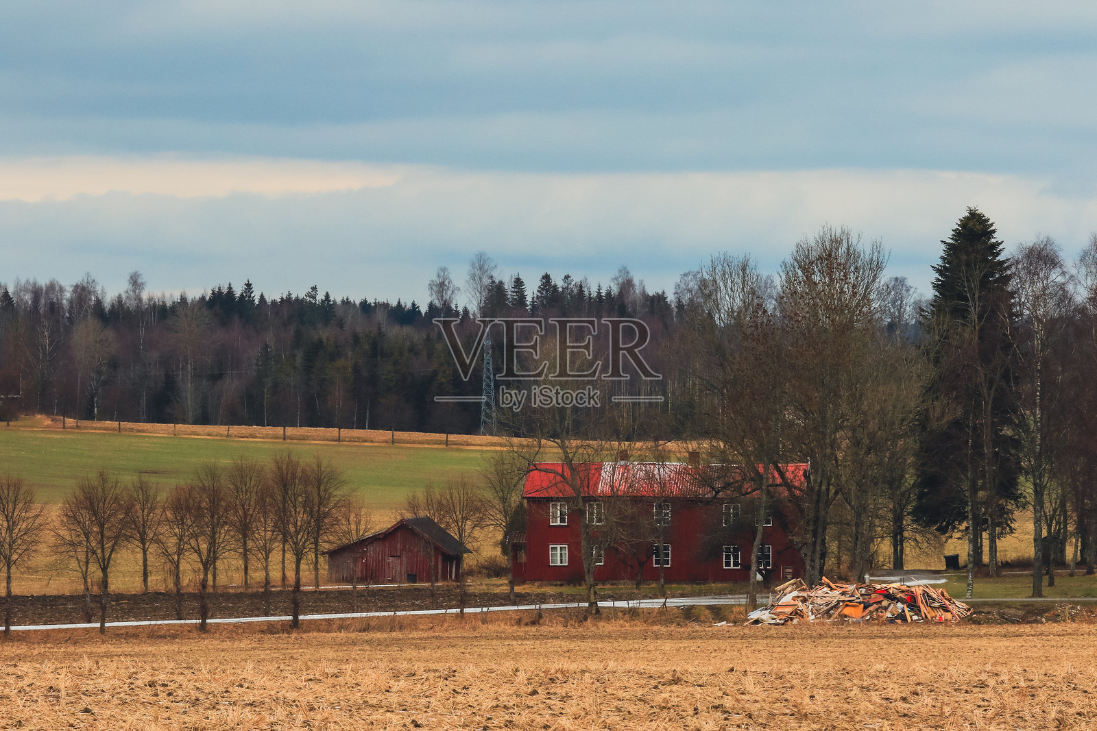 宁静的挪威乡村，红色农舍被郁郁葱葱的田野环绕，早春时节，天空阴云密布。照片摄影图片