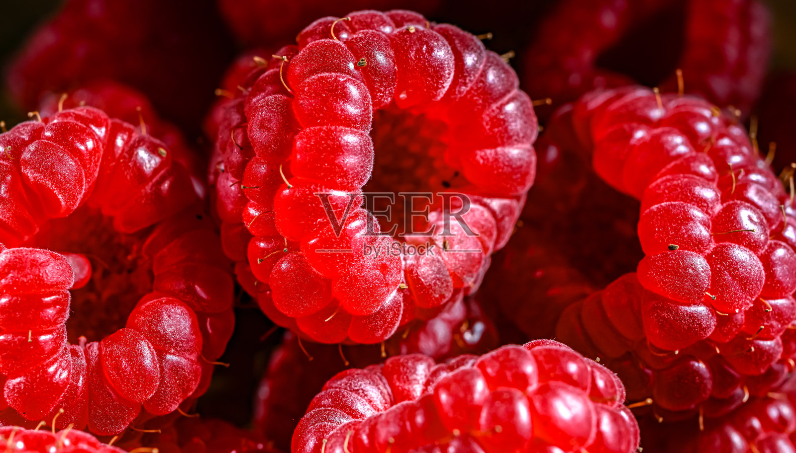 新鲜覆盆子的特写镜头照片摄影图片