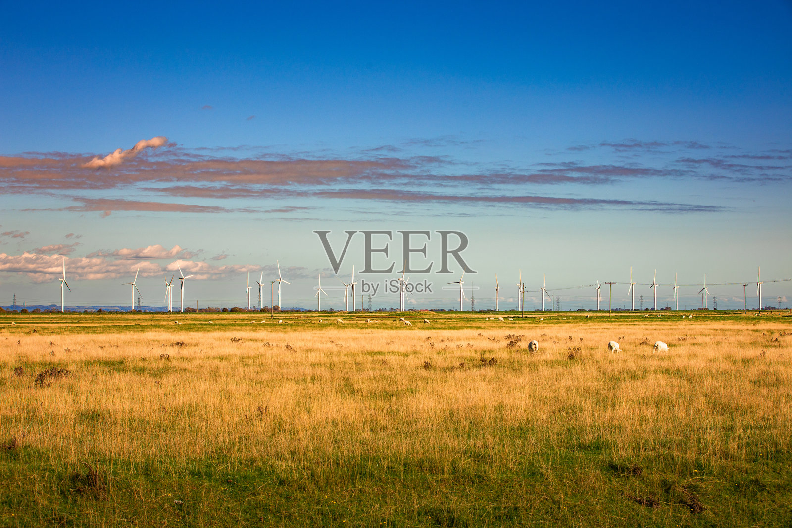 农业景观中的一排风力涡轮机照片摄影图片