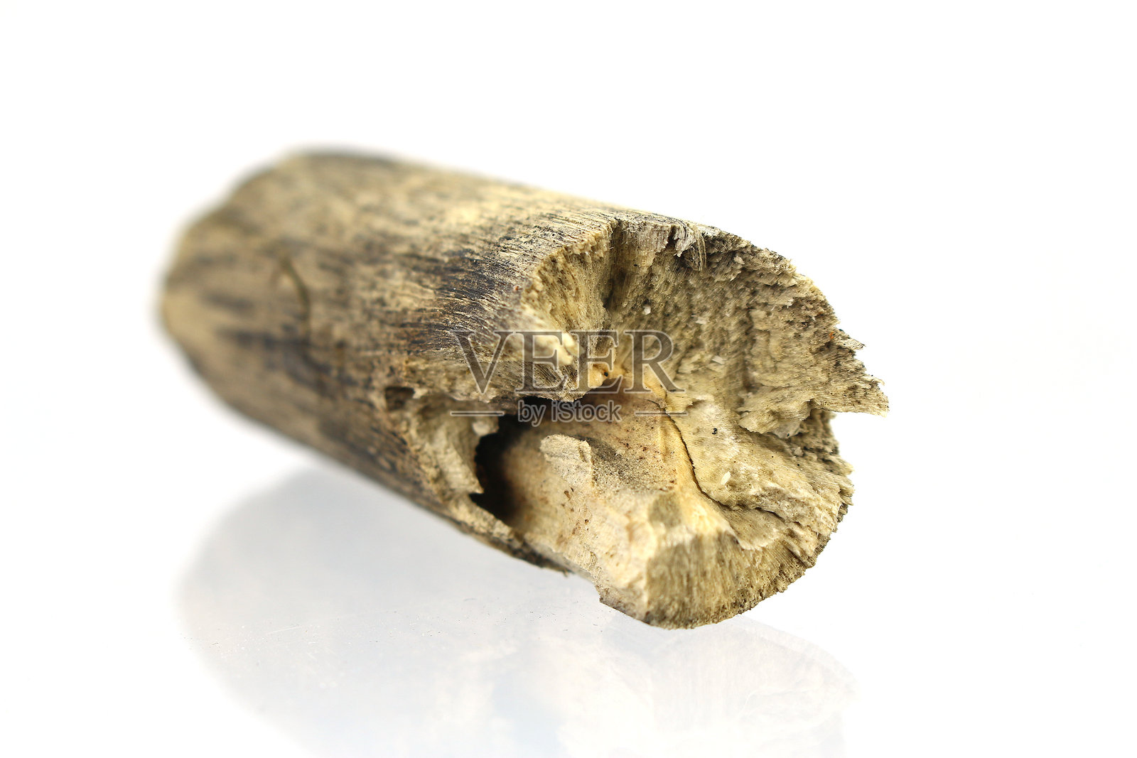 白色背景上的原木照片摄影图片