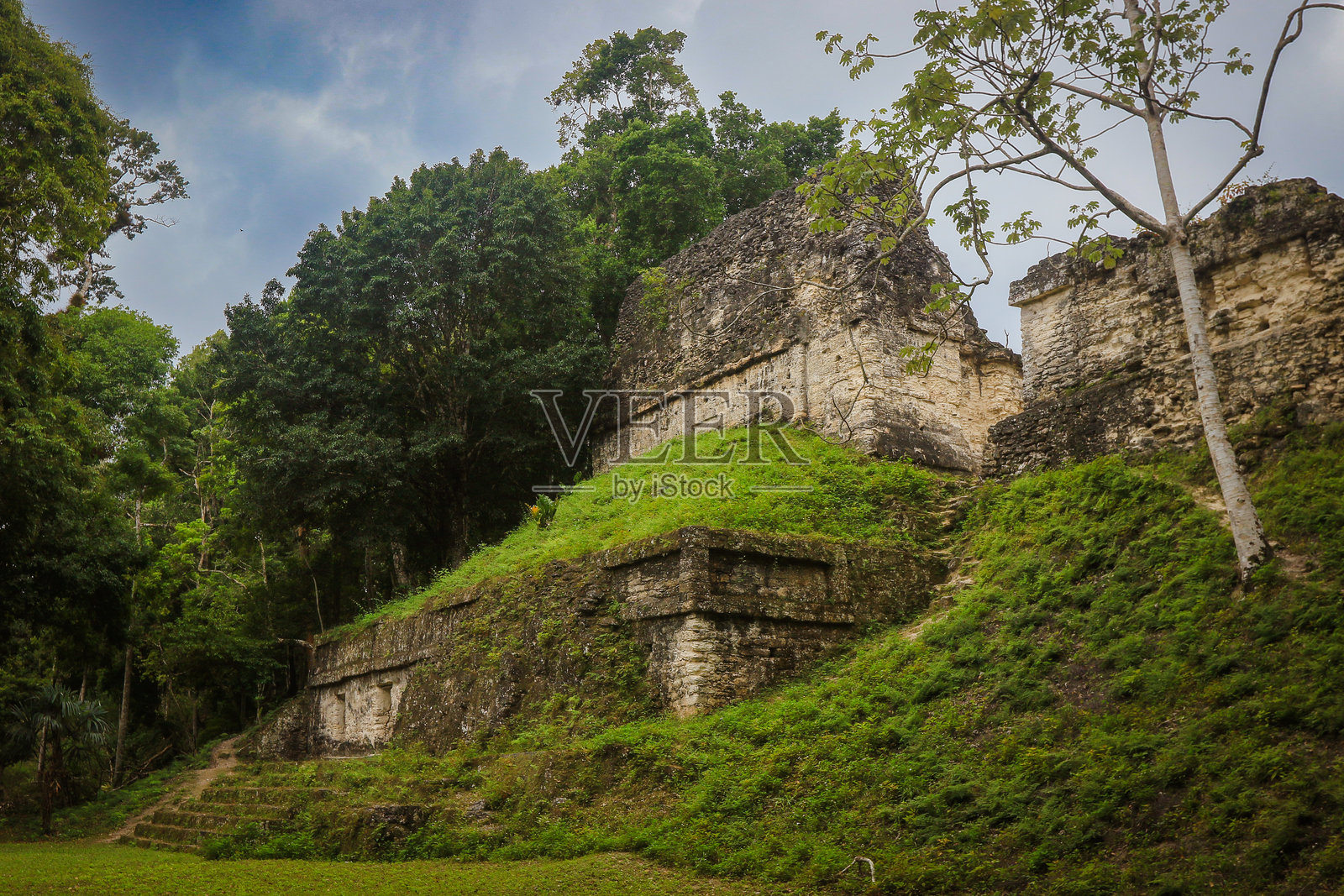 在危地马拉的蒂卡尔古遗址中探索被郁郁葱葱的绿树环绕的景象照片摄影图片