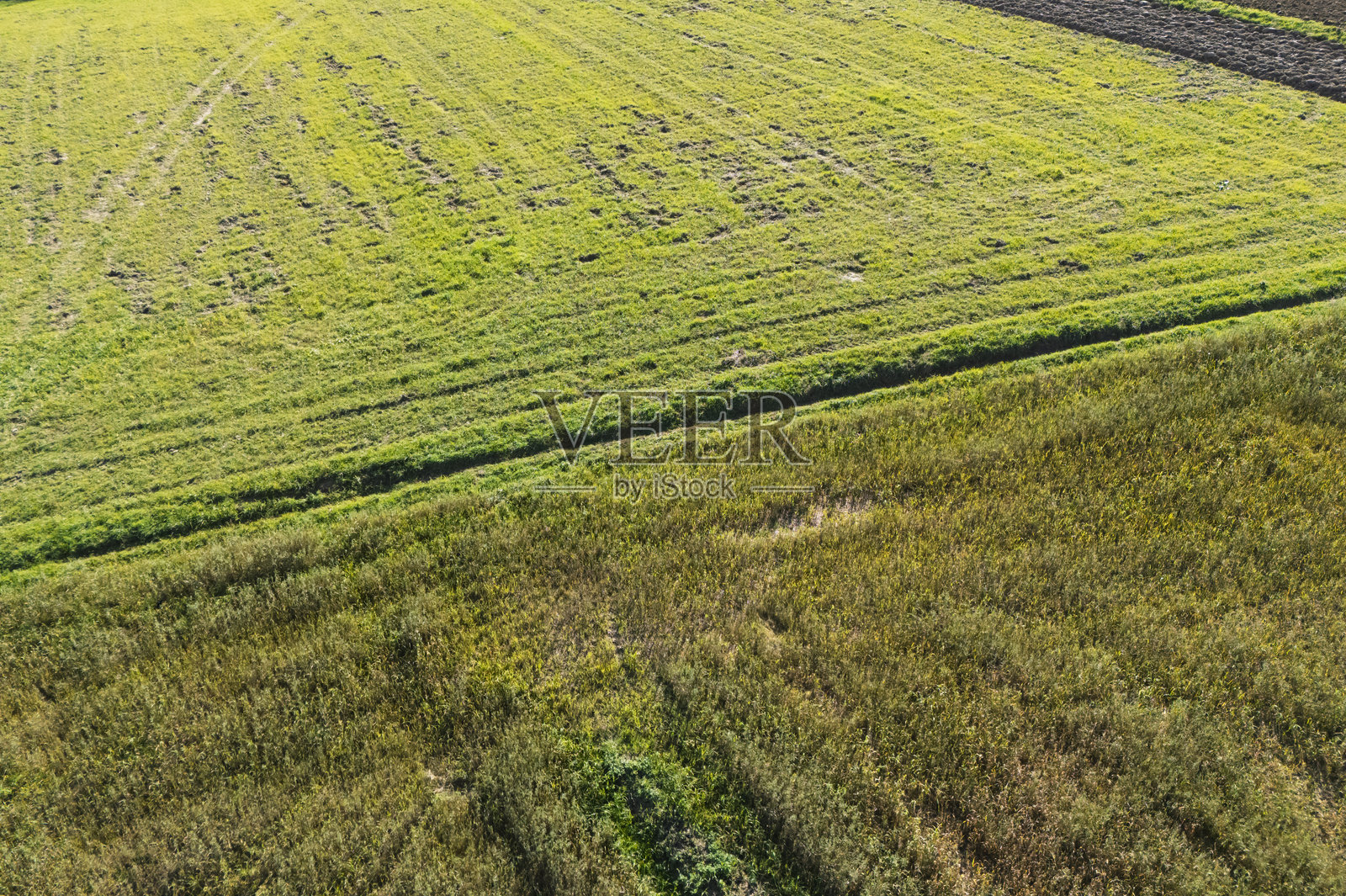 鸟瞰生机勃勃的绿色田野，展示了景观中不同的纹理和图案，体现了农业之美。照片摄影图片