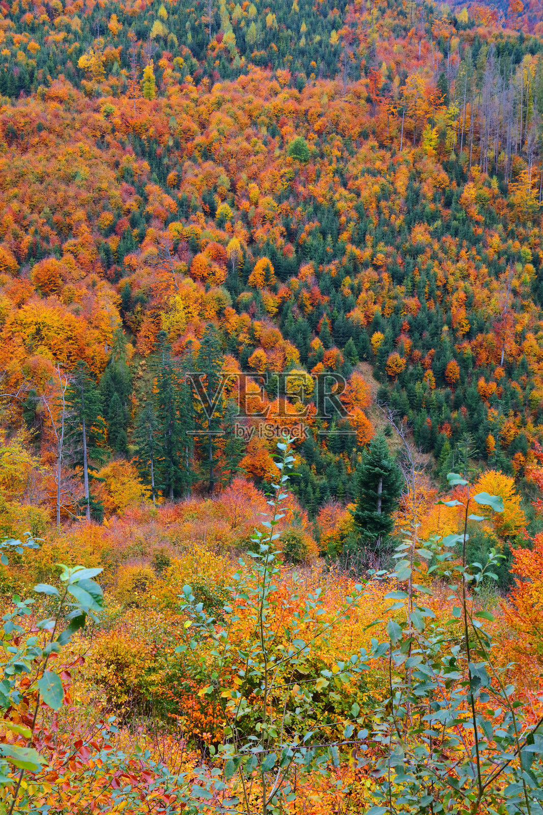 波兰秋季的贝斯基迪山脉照片摄影图片