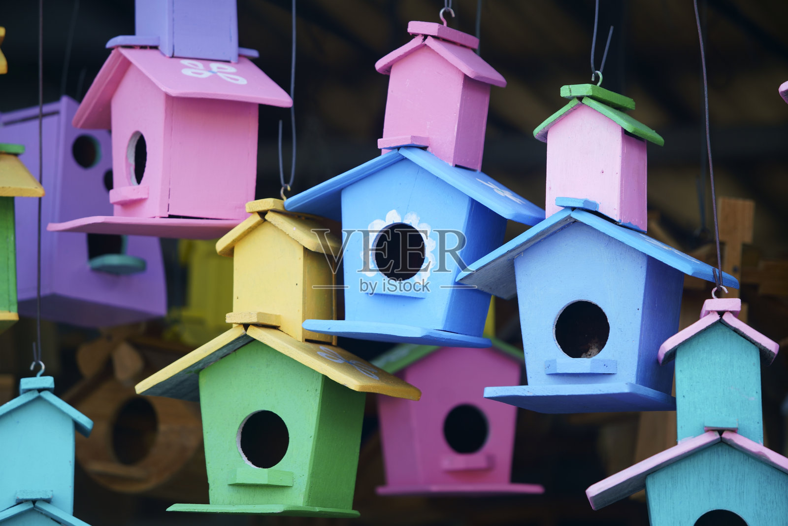 五彩斑斓的鸟屋悬挂在花园里照片摄影图片