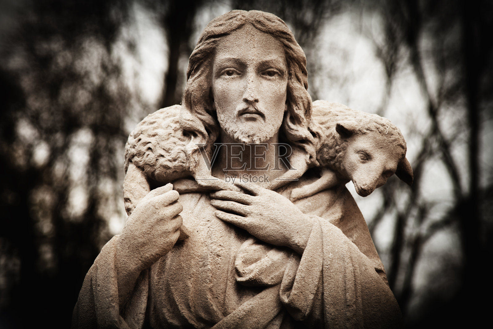 耶稣基督好牧人。象征着人类对上帝的重要性。照片摄影图片