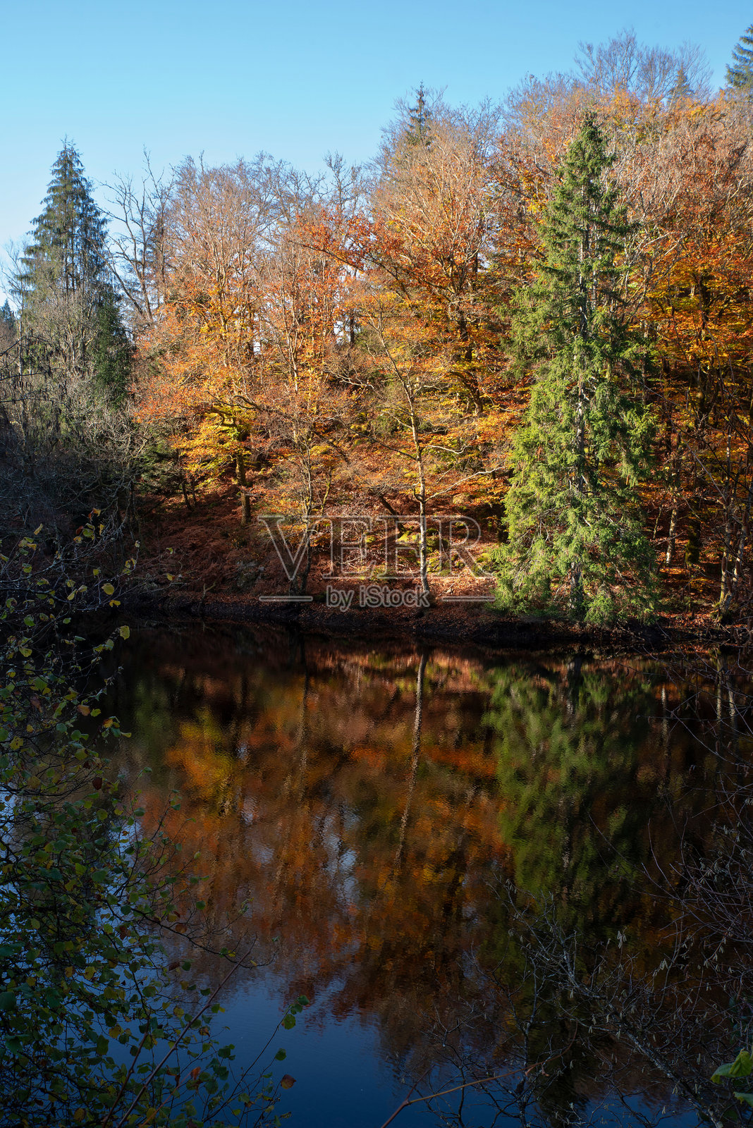 秋天的湖泊与树木及其倒影照片摄影图片